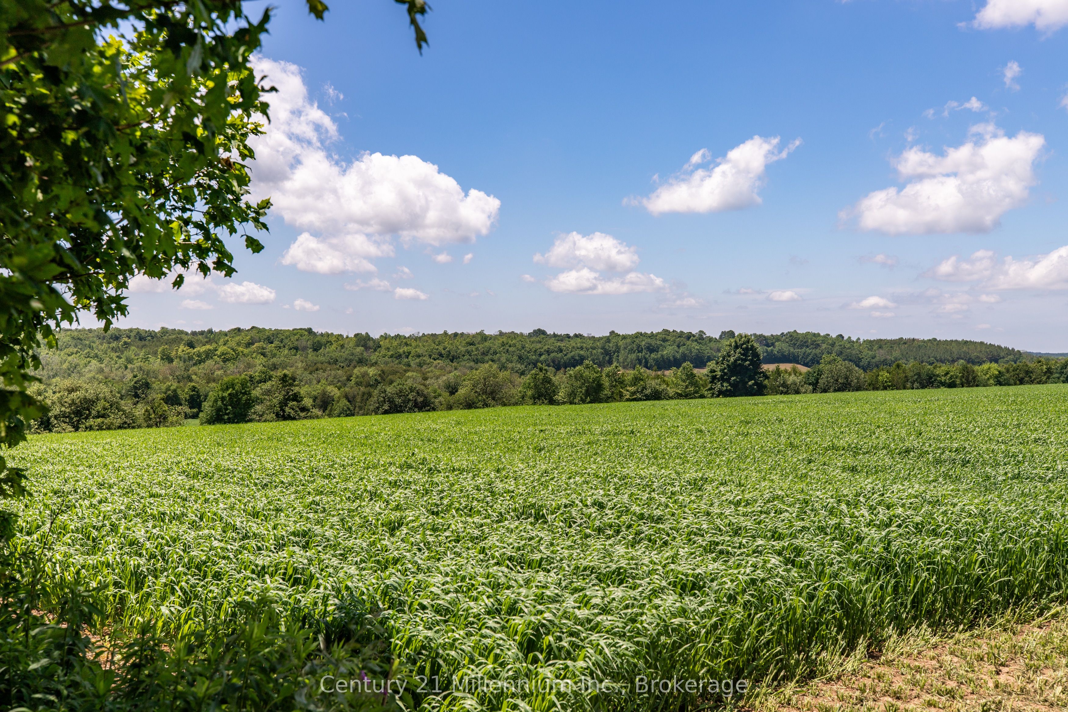775678 Highway 10 Property Photo 12
