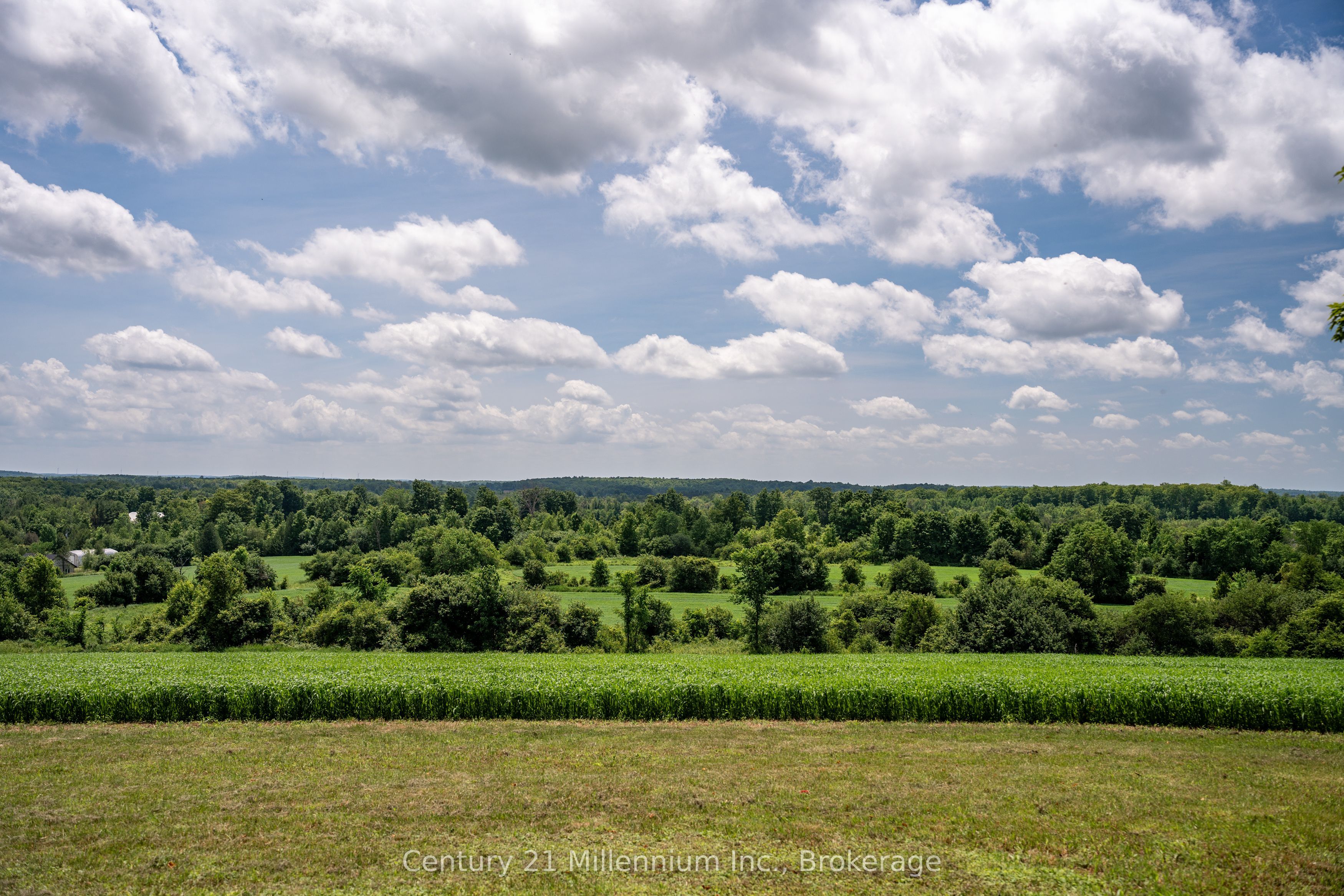 775678 Highway 10 Property Photo 15