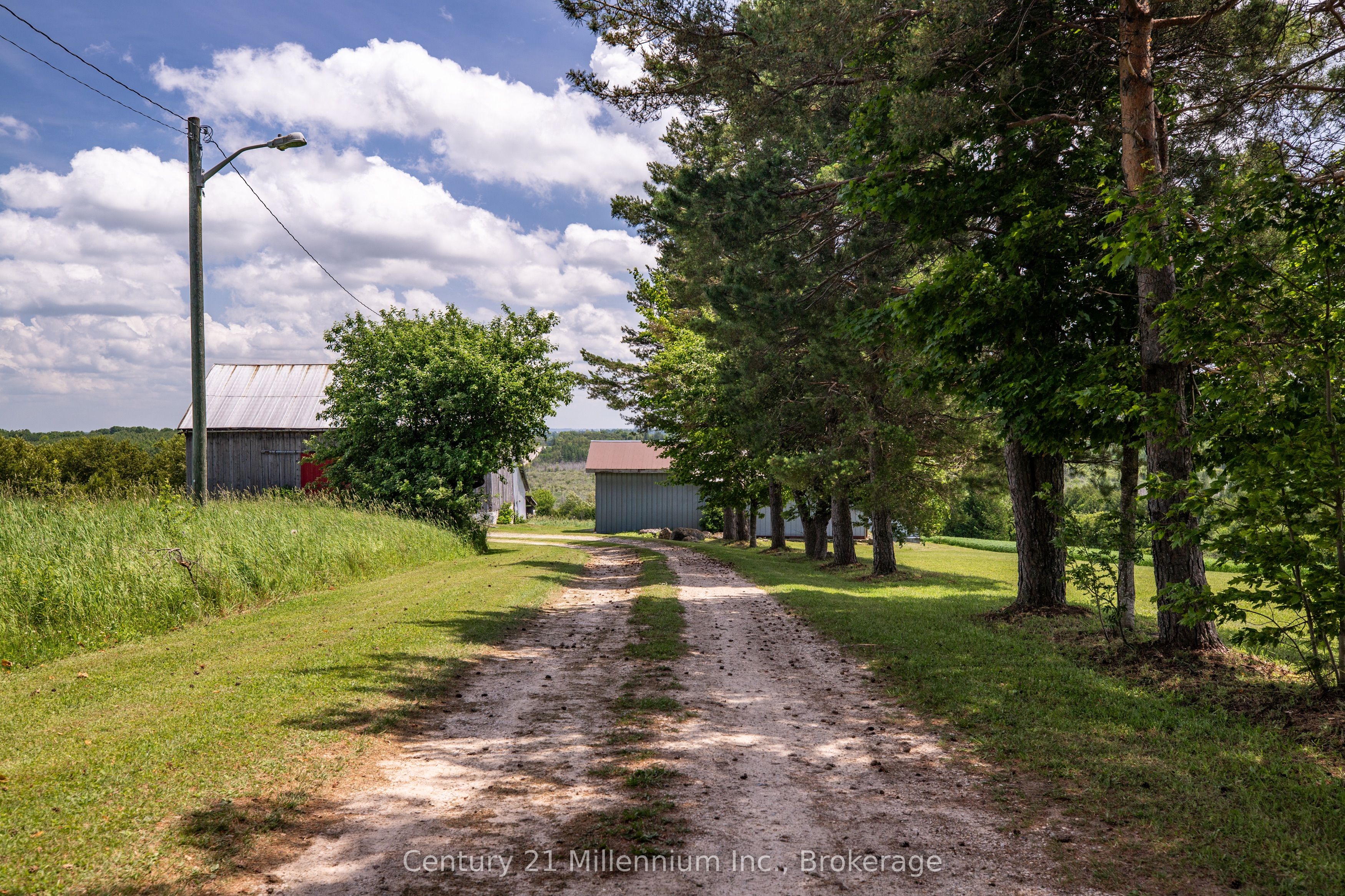 775678 Highway 10 Property Photo 17