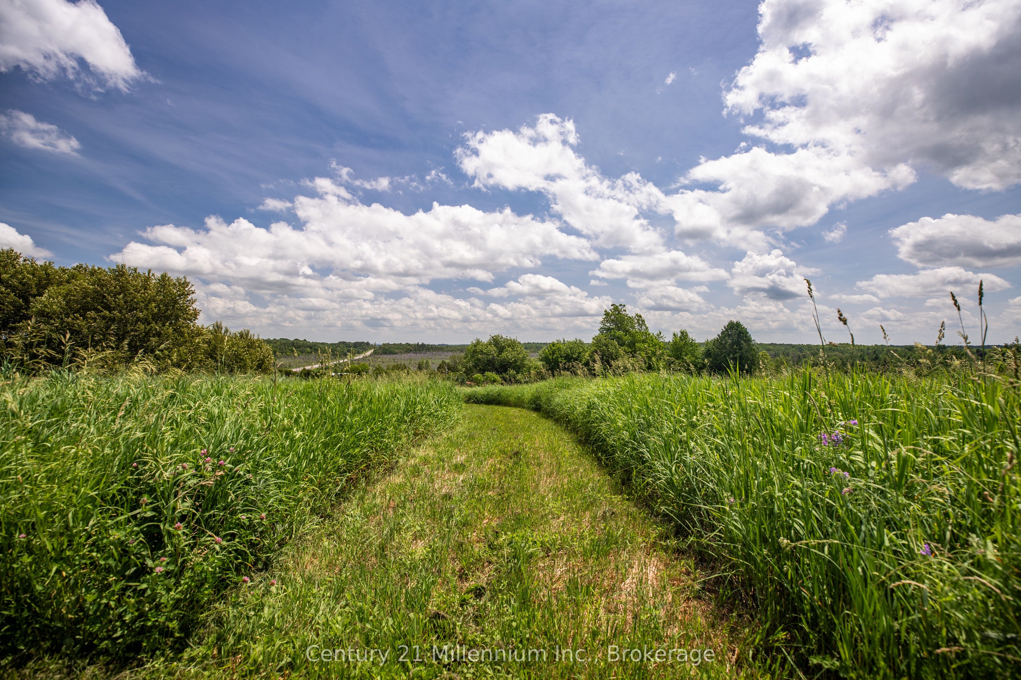 775678 Highway 10 Property Photo 30
