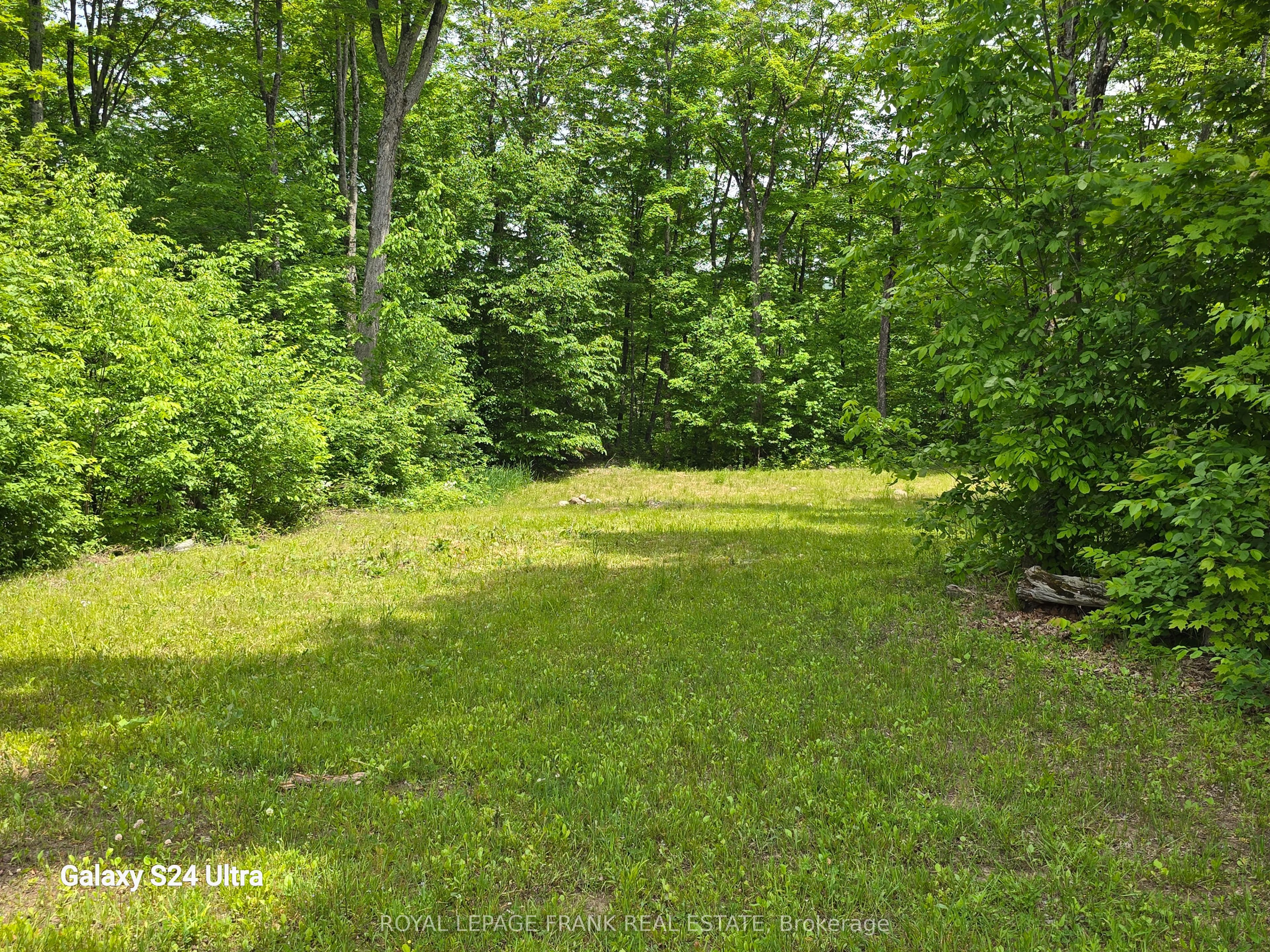 1097 Cheddar Road Property Photo 12