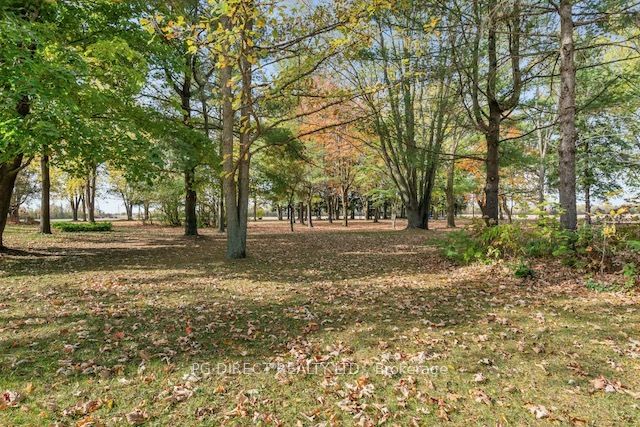 2280 County Rd 12 Road Property Photo 20
