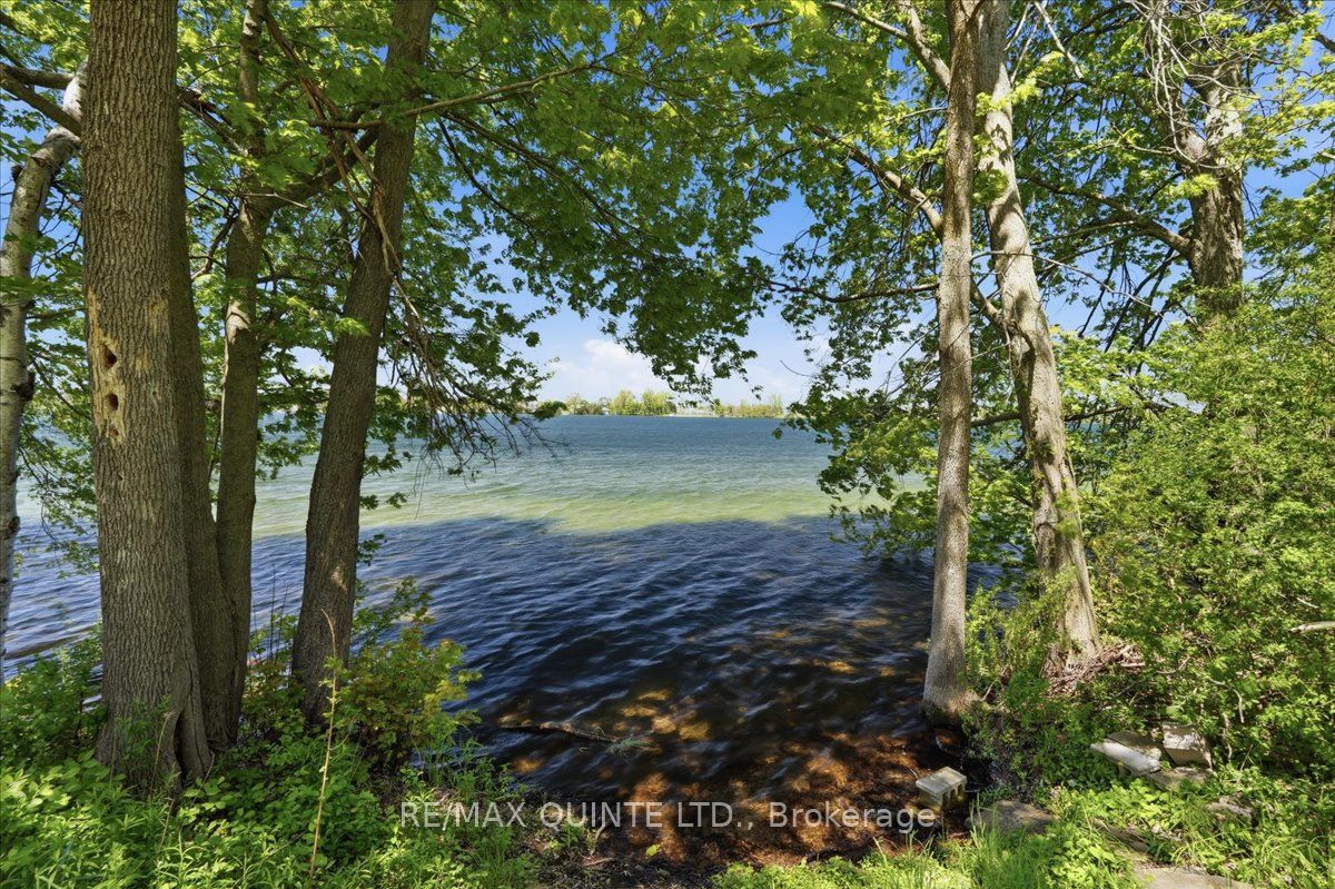 115 Gibson Road Property Photo 19