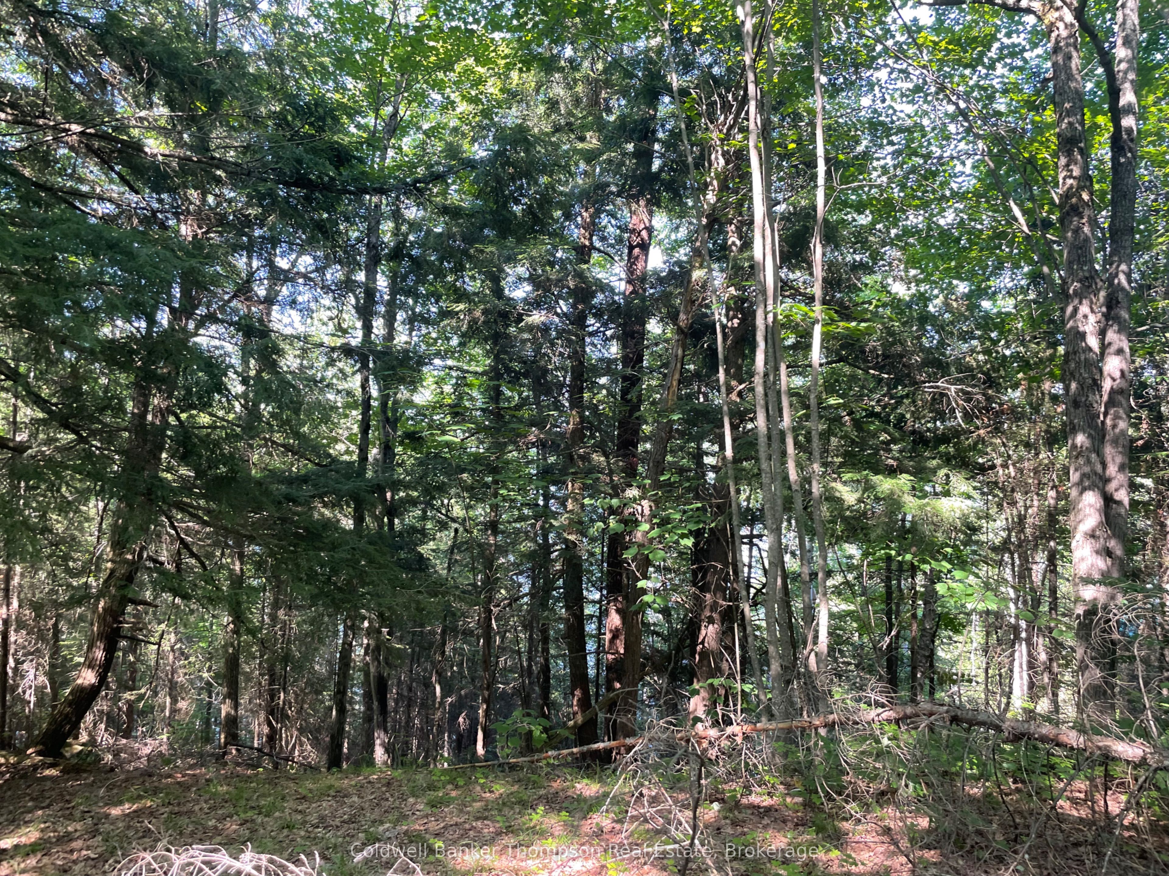 0 Hazard Hill #2 Road Property Photo 16