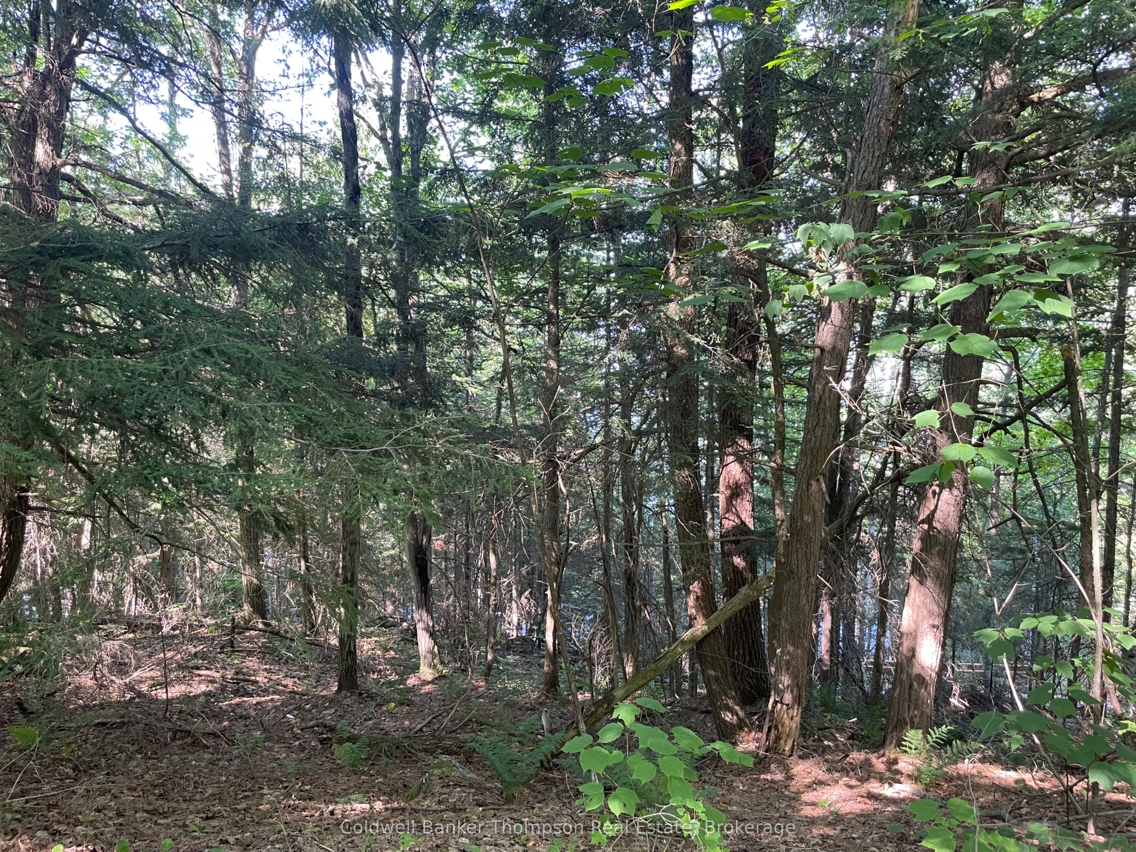0 Hazard Hill #2 Road Property Photo 18