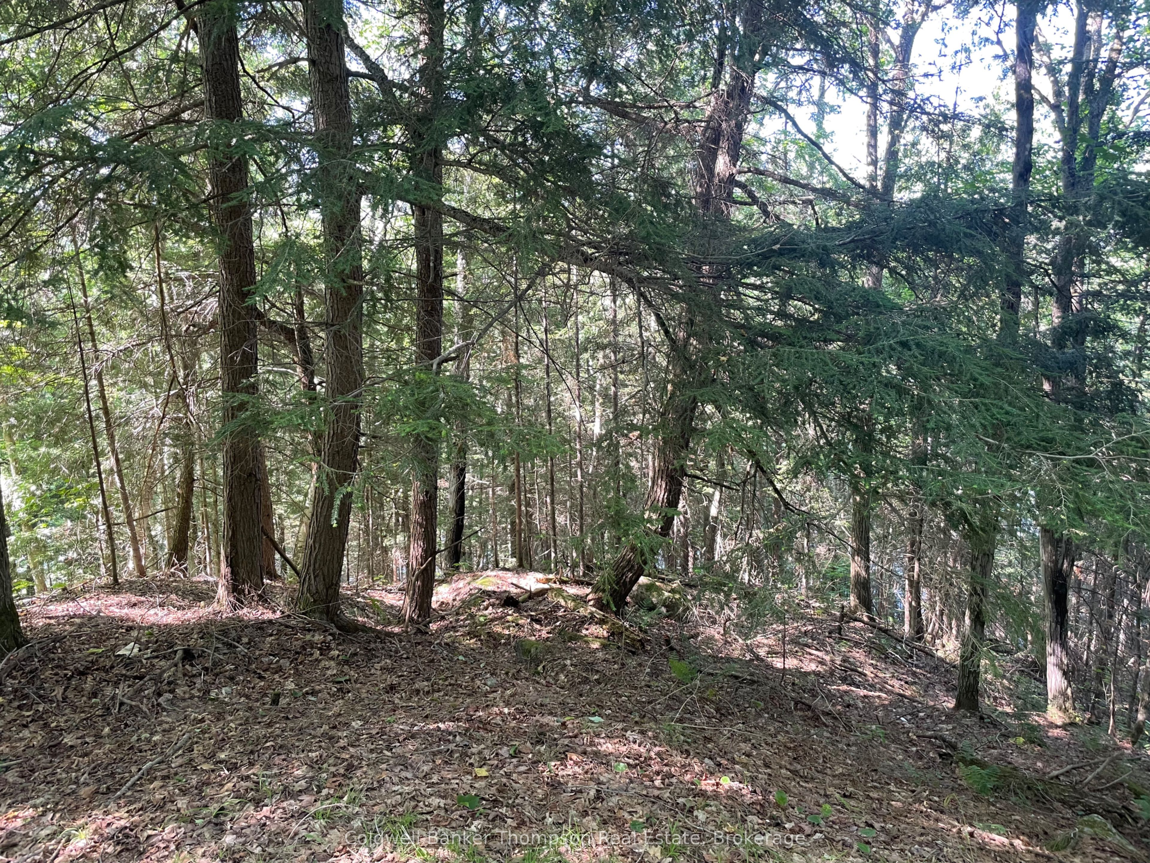 0 Hazard Hill #2 Road Property Photo 21