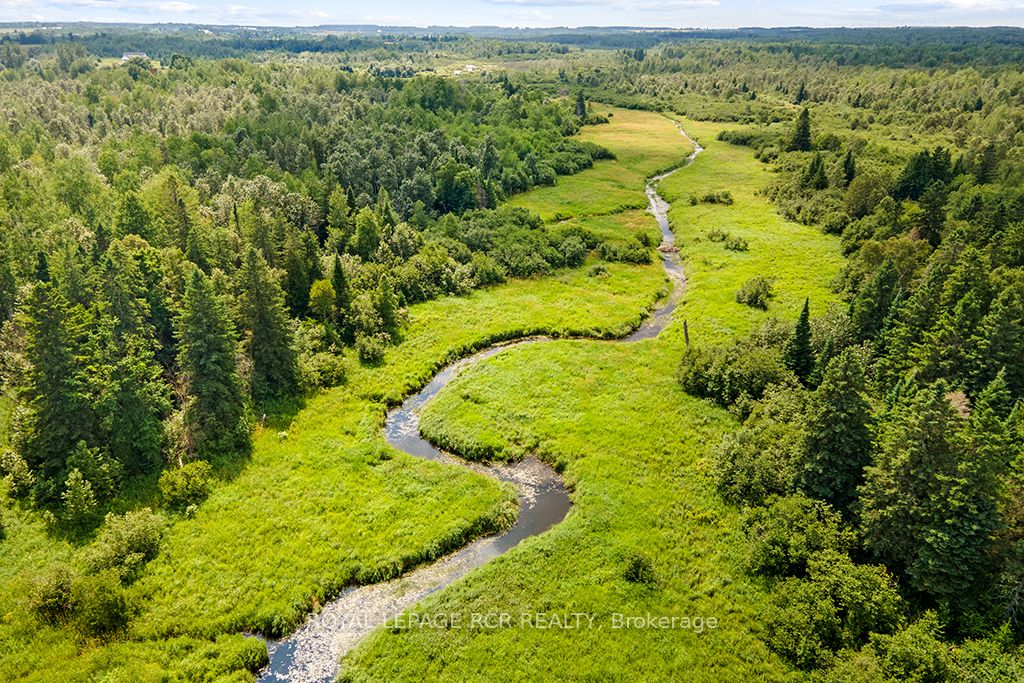 595133 Blind Line Property Photo 37