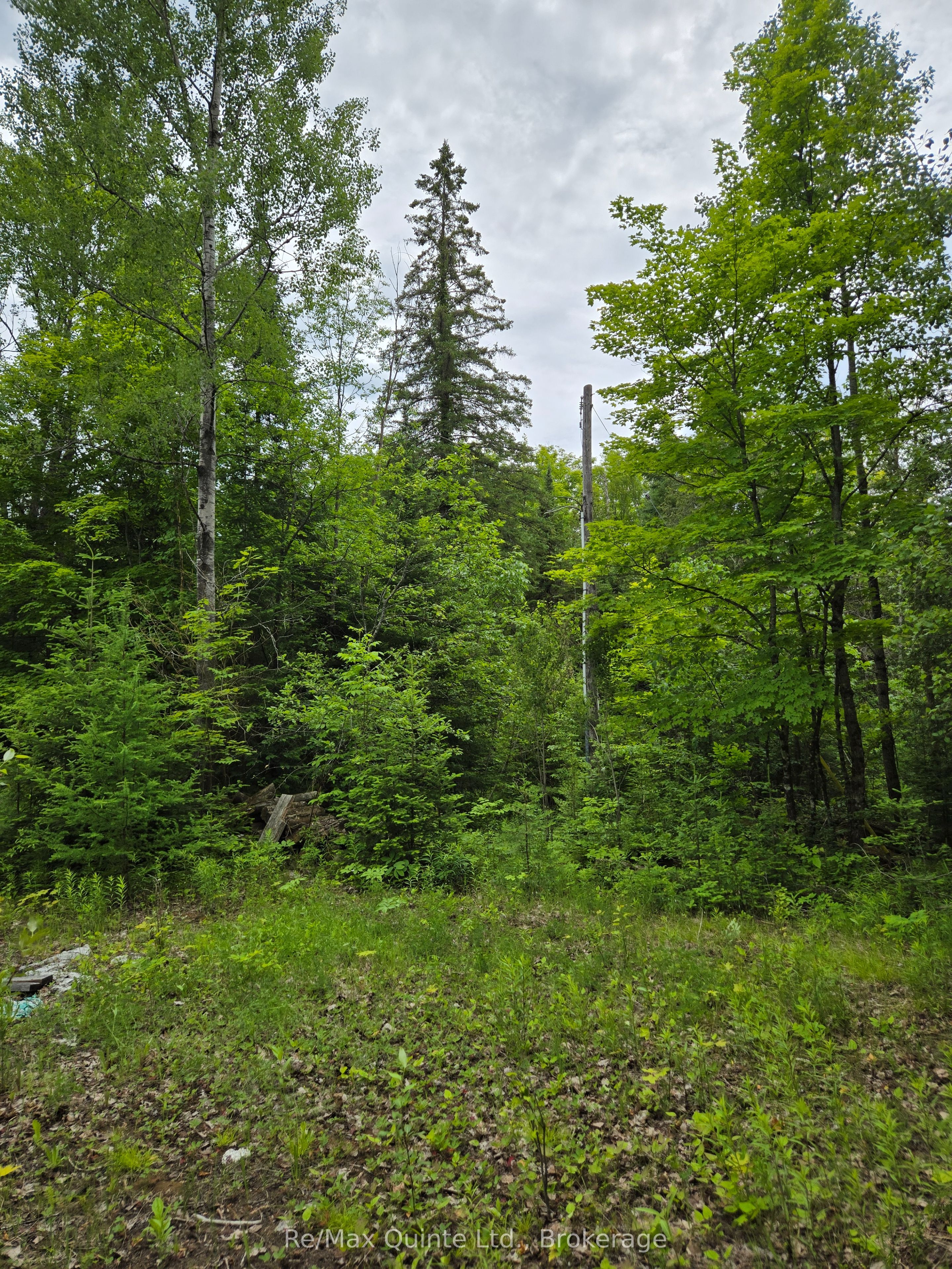 40 Marquardt Road Property Photo 5