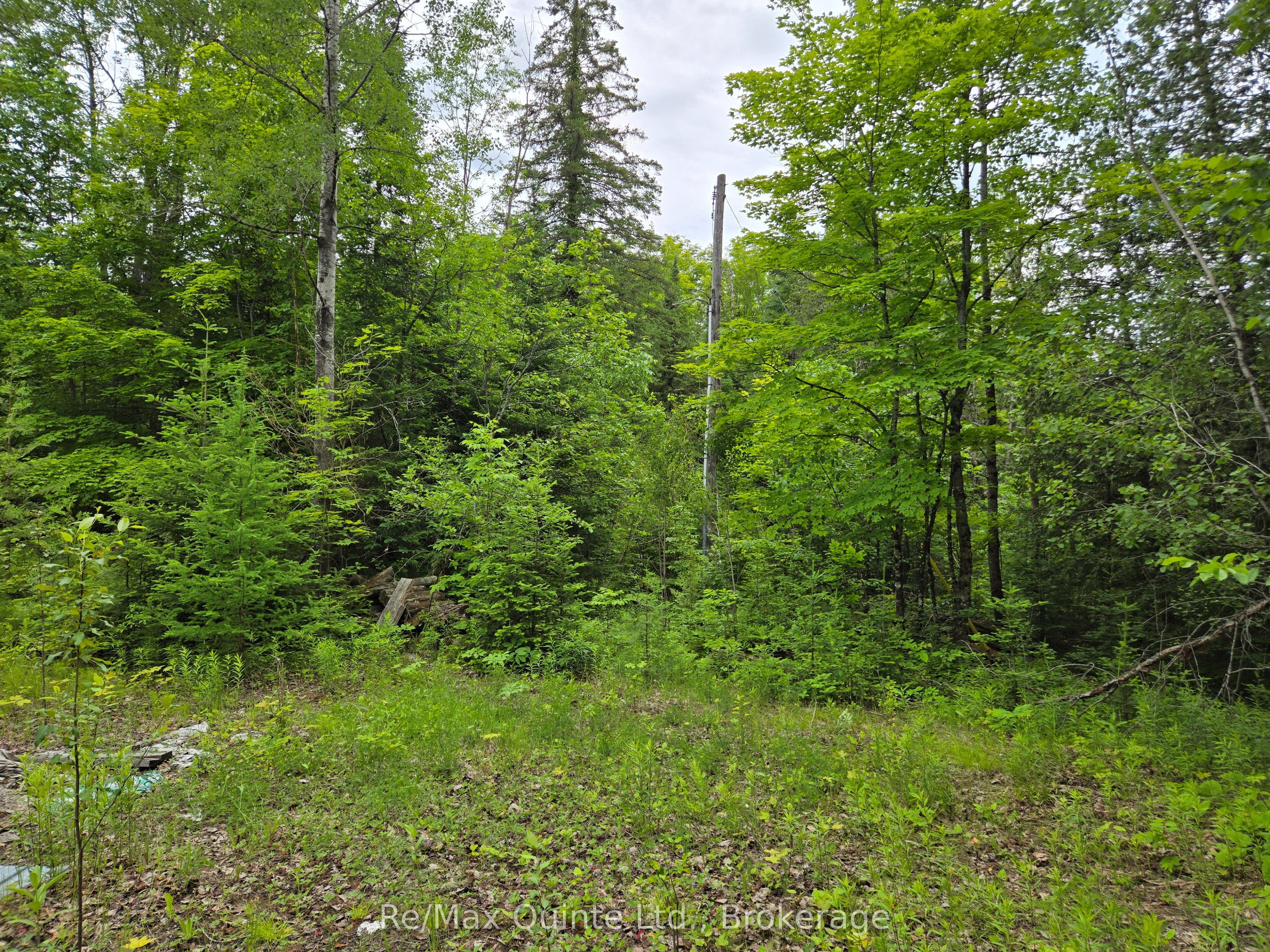 40 Marquardt Road Property Photo 6