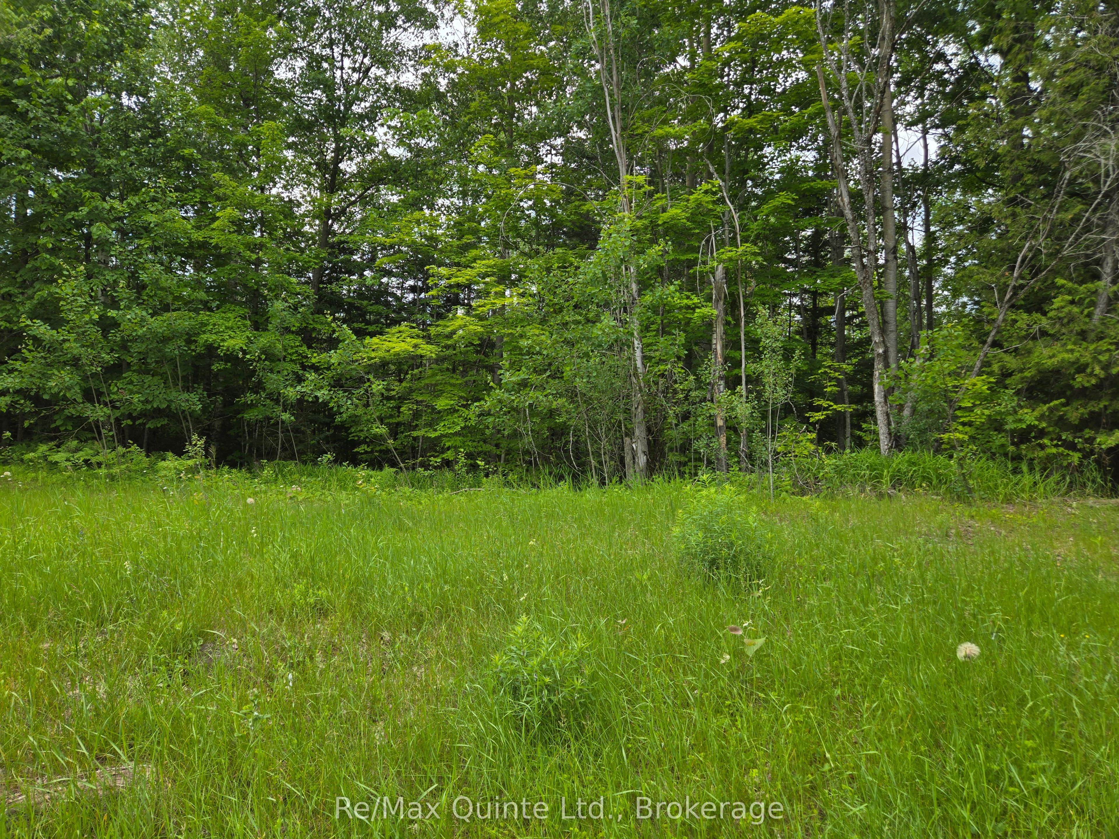 40 Marquardt Road Property Photo 14