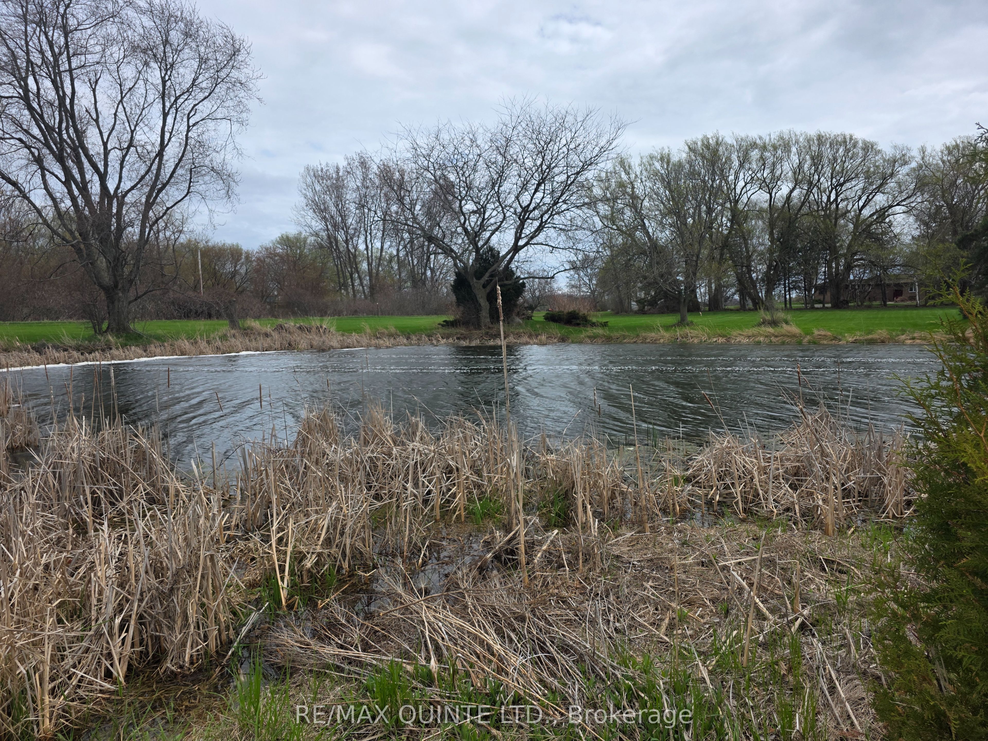 15775 Loyalist Parkway Property Photo 43