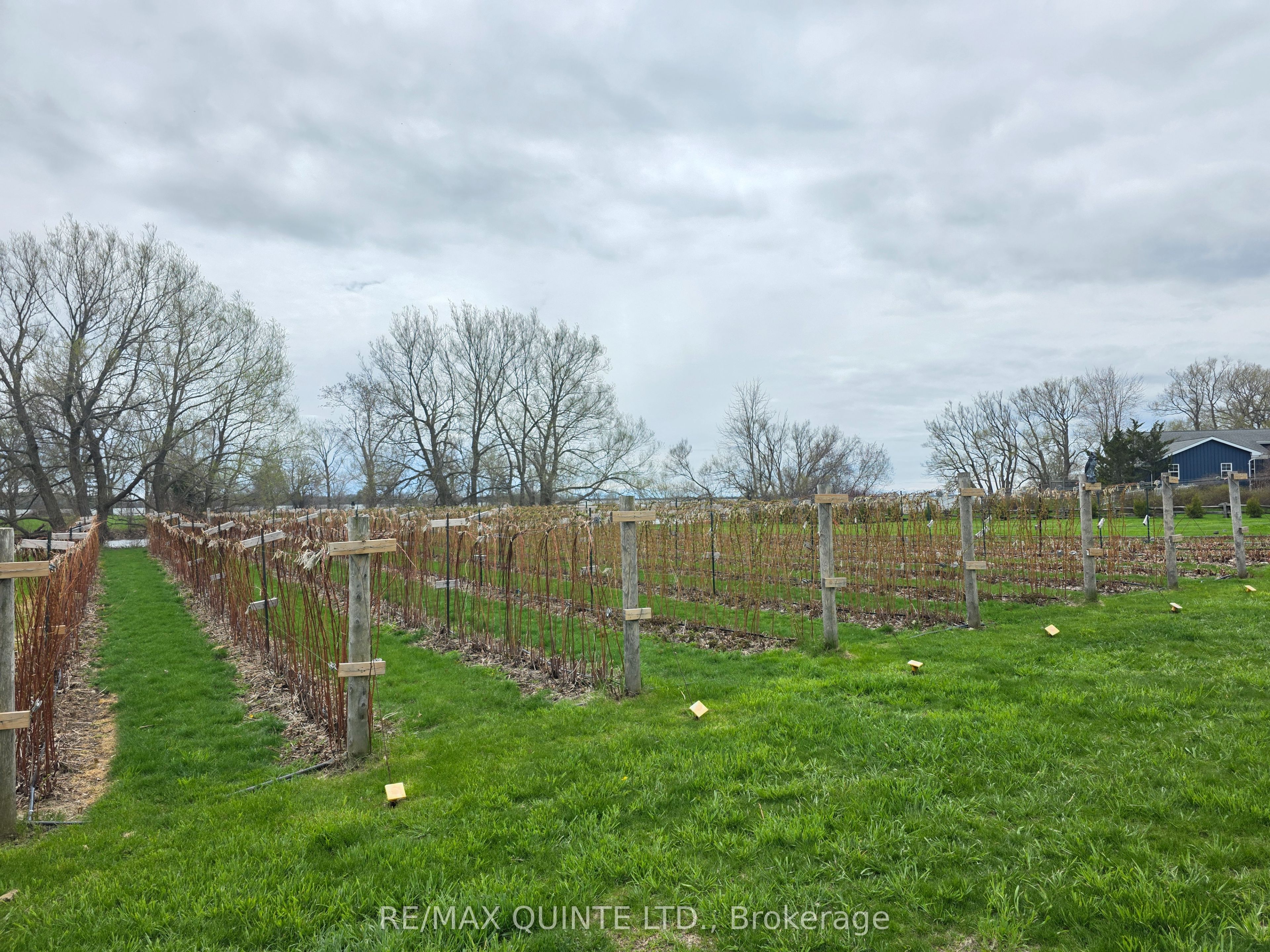 15775 Loyalist Parkway Property Photo 44