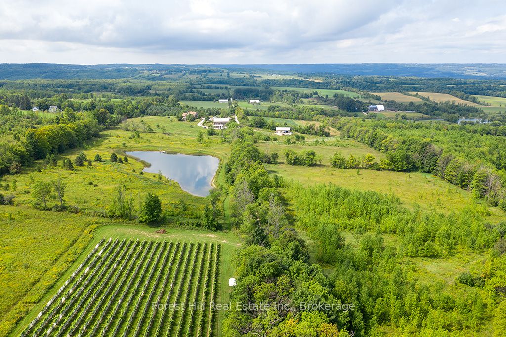415763 10th Line Property Photo 8