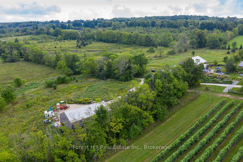 415763 10th Line Property Photo 11