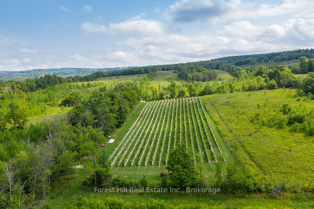 415763 10th Line Property Photo 12
