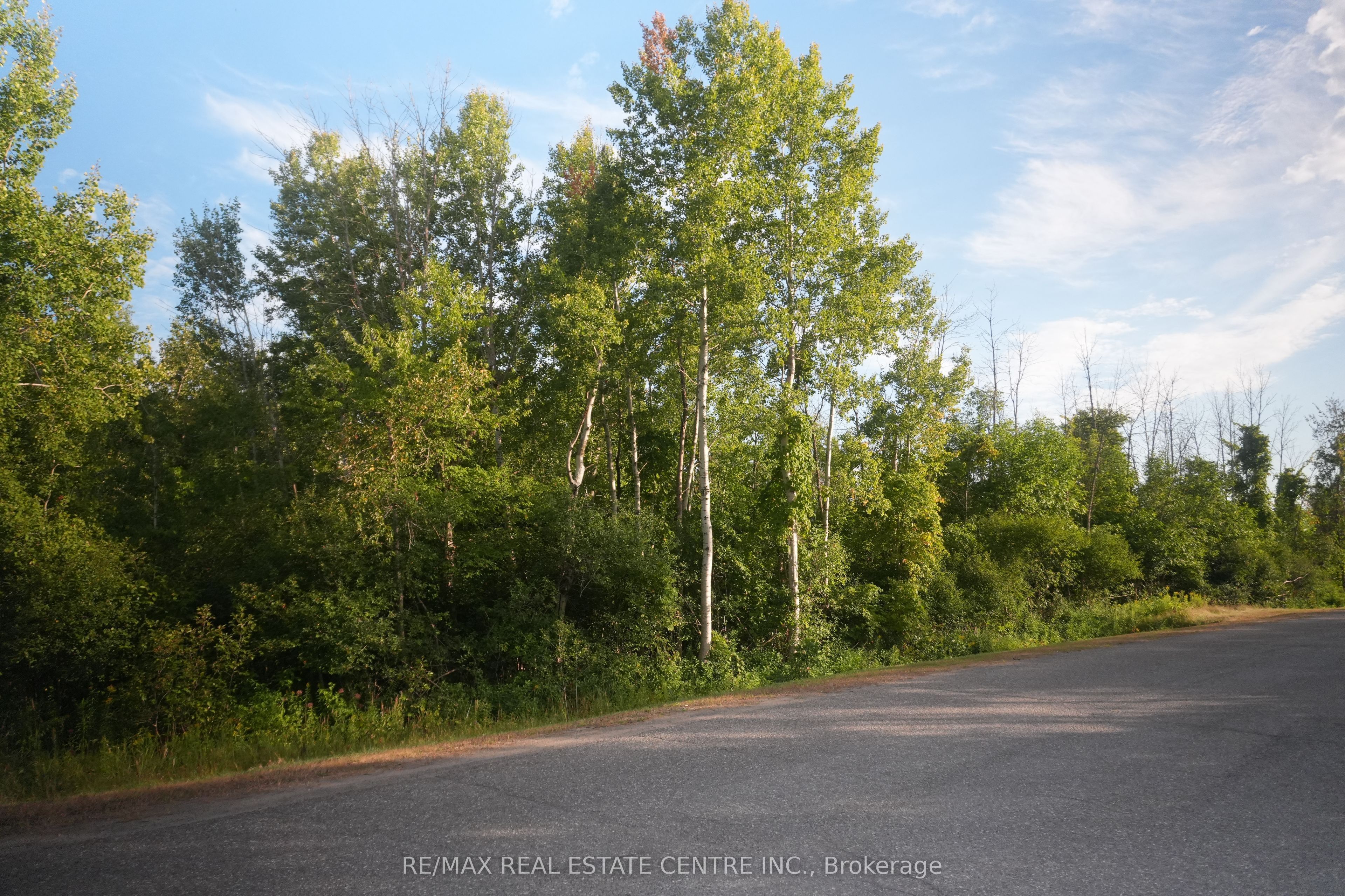 41 Concession 4 Road 41 Property Photo 6