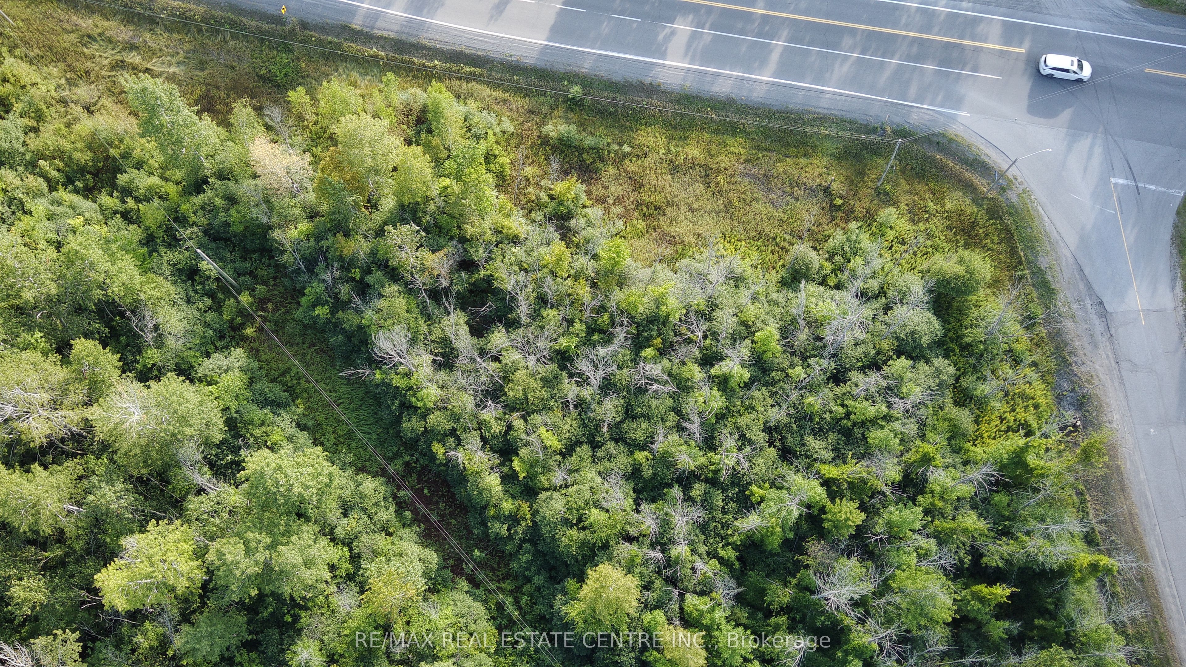 41 Concession 4 Road 41 Property Photo 10
