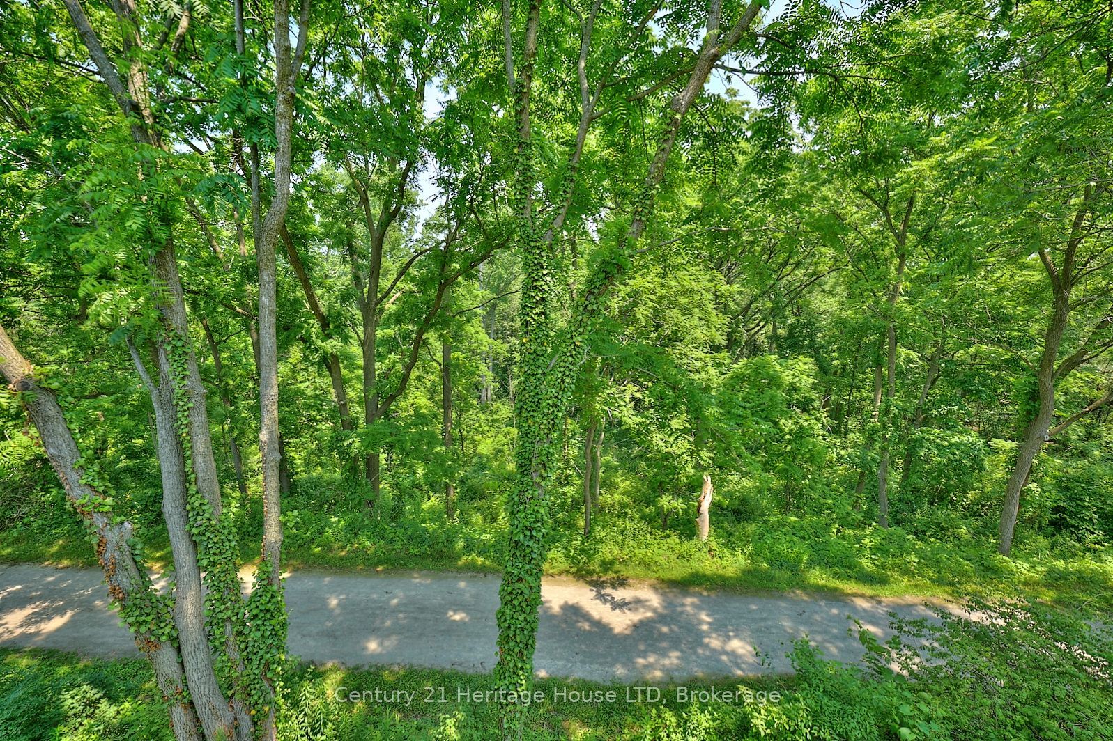 14 Tulip Tree Common Property Photo 39