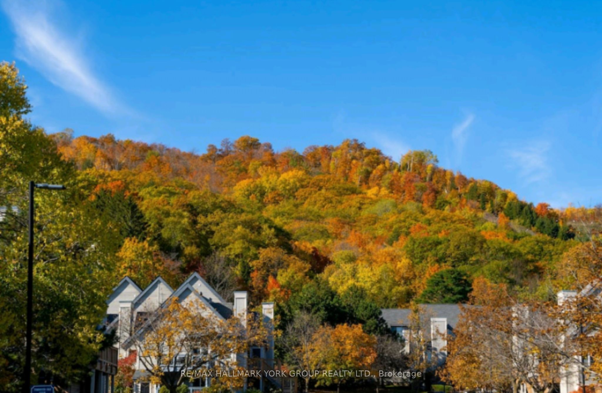 796468 19 Grey Road 514 Property Photo 13