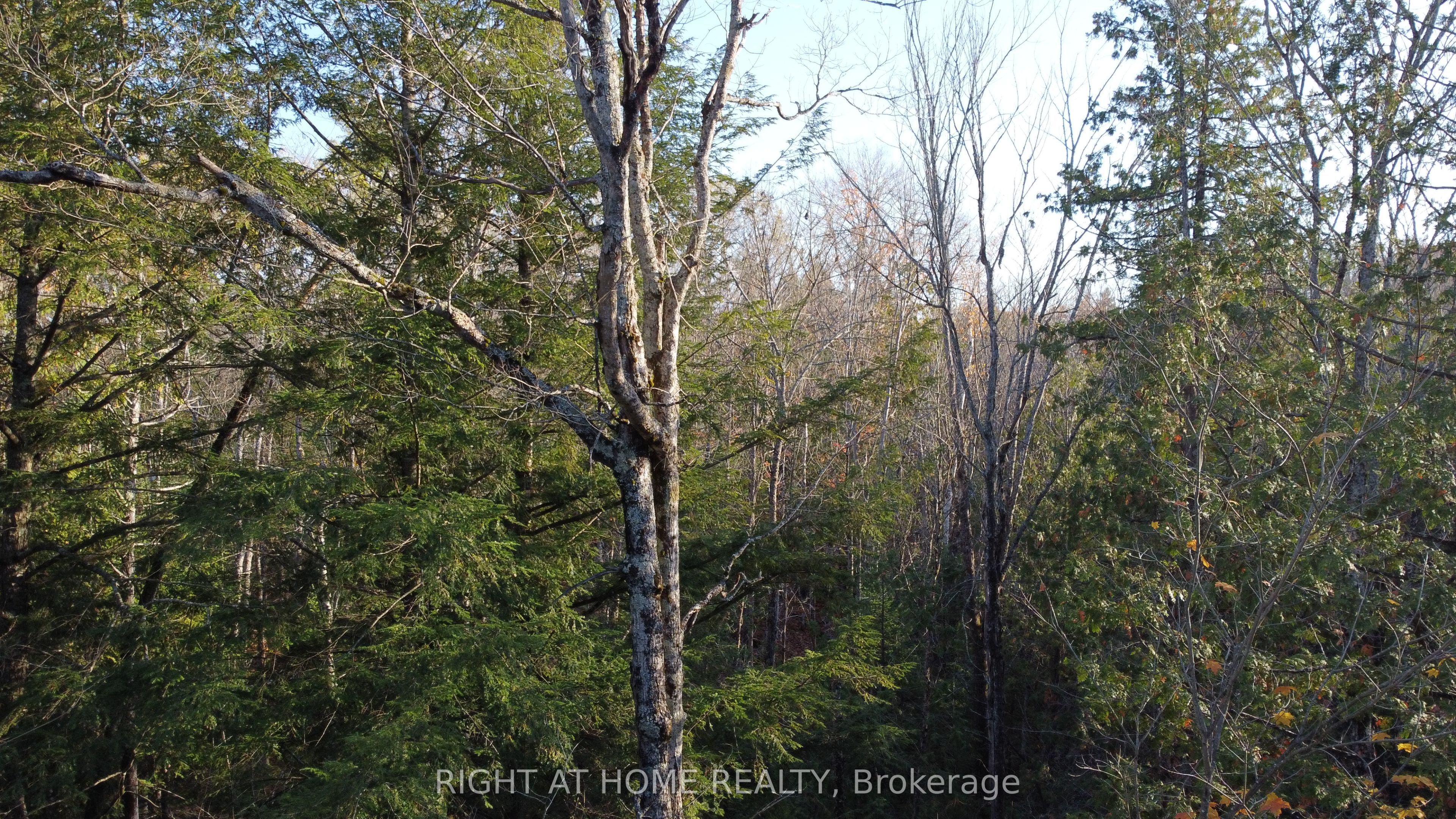 2263 Machar Strong Boundry Road Property Photo 3
