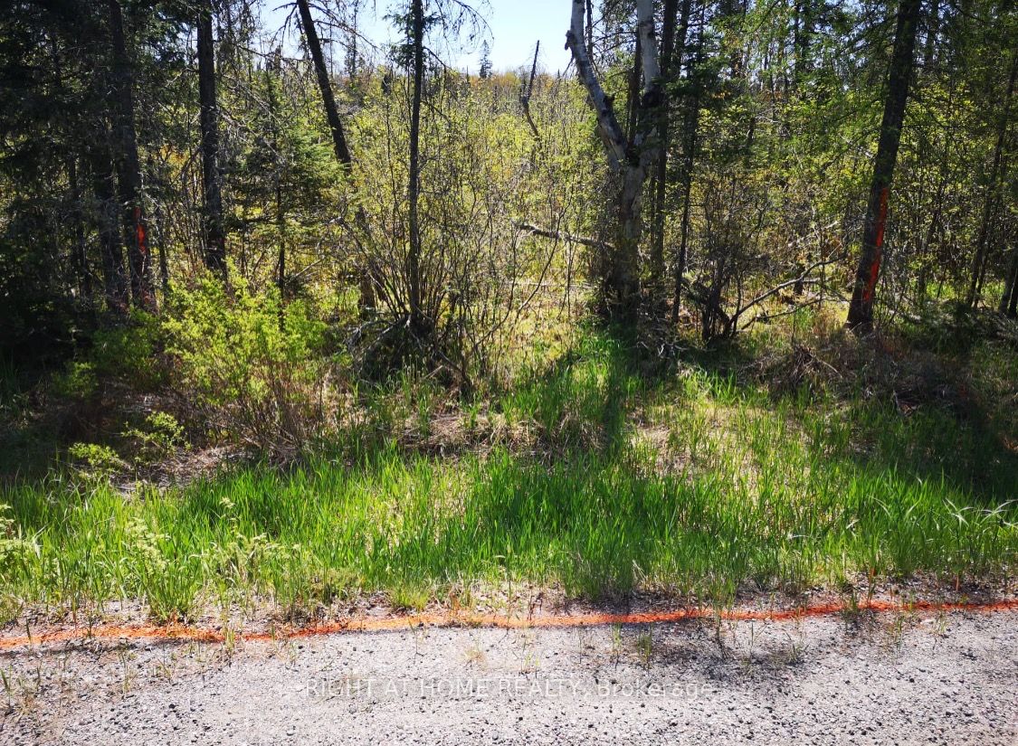 2263 Machar Strong Boundry Road Property Photo 6