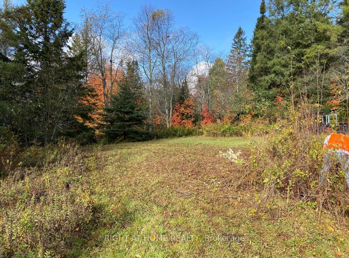 2263 Machar Strong Boundry Road Property Photo 7