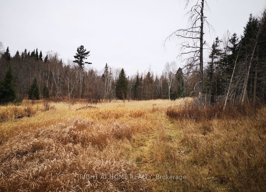 2263 Machar Strong Boundry Road Property Photo 8