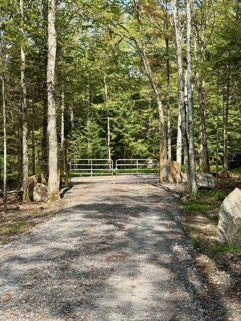 1394 Bartlett Lake Road Property Photo 19