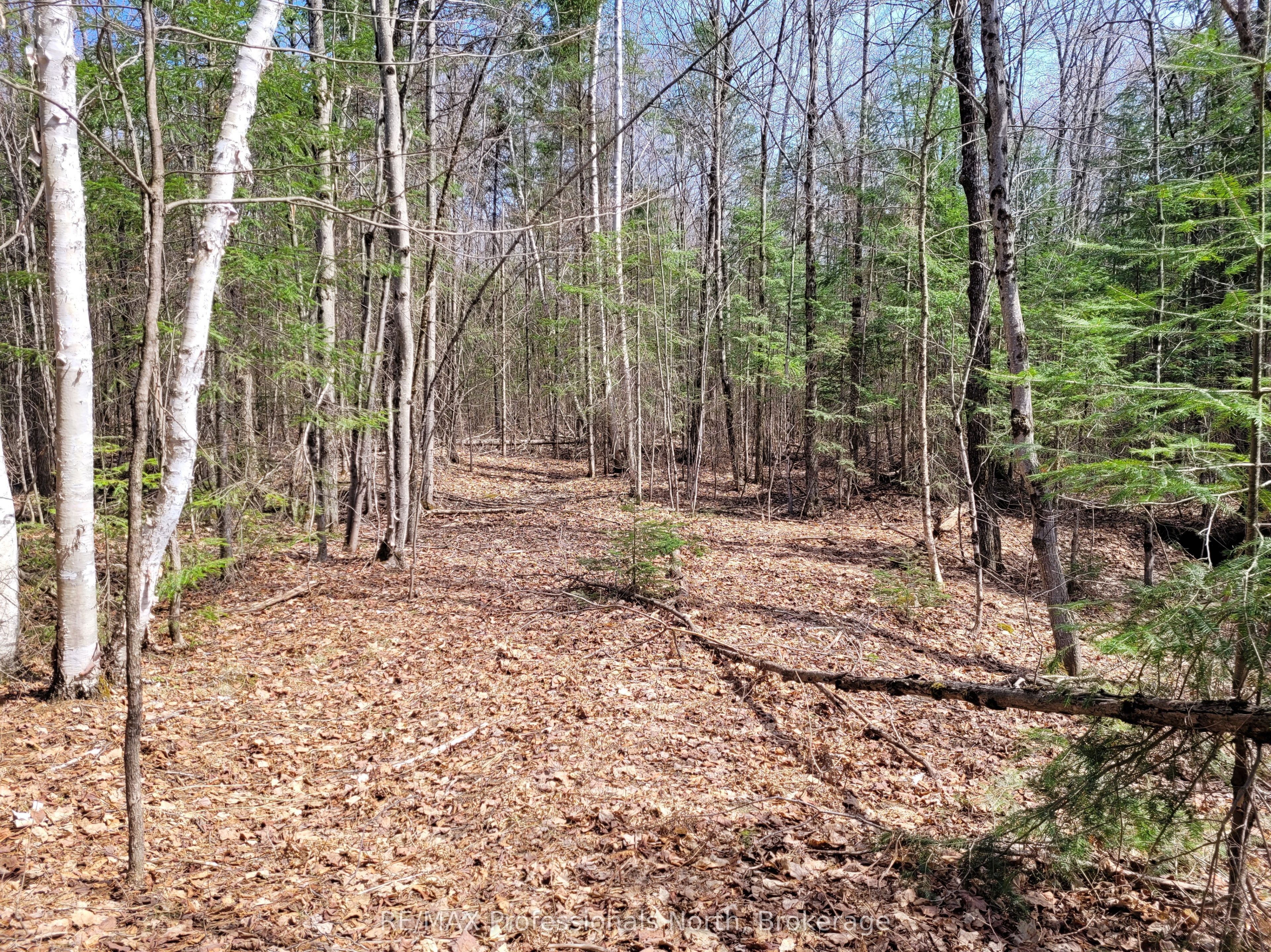 Tbd Gelert Road Property Photo 1