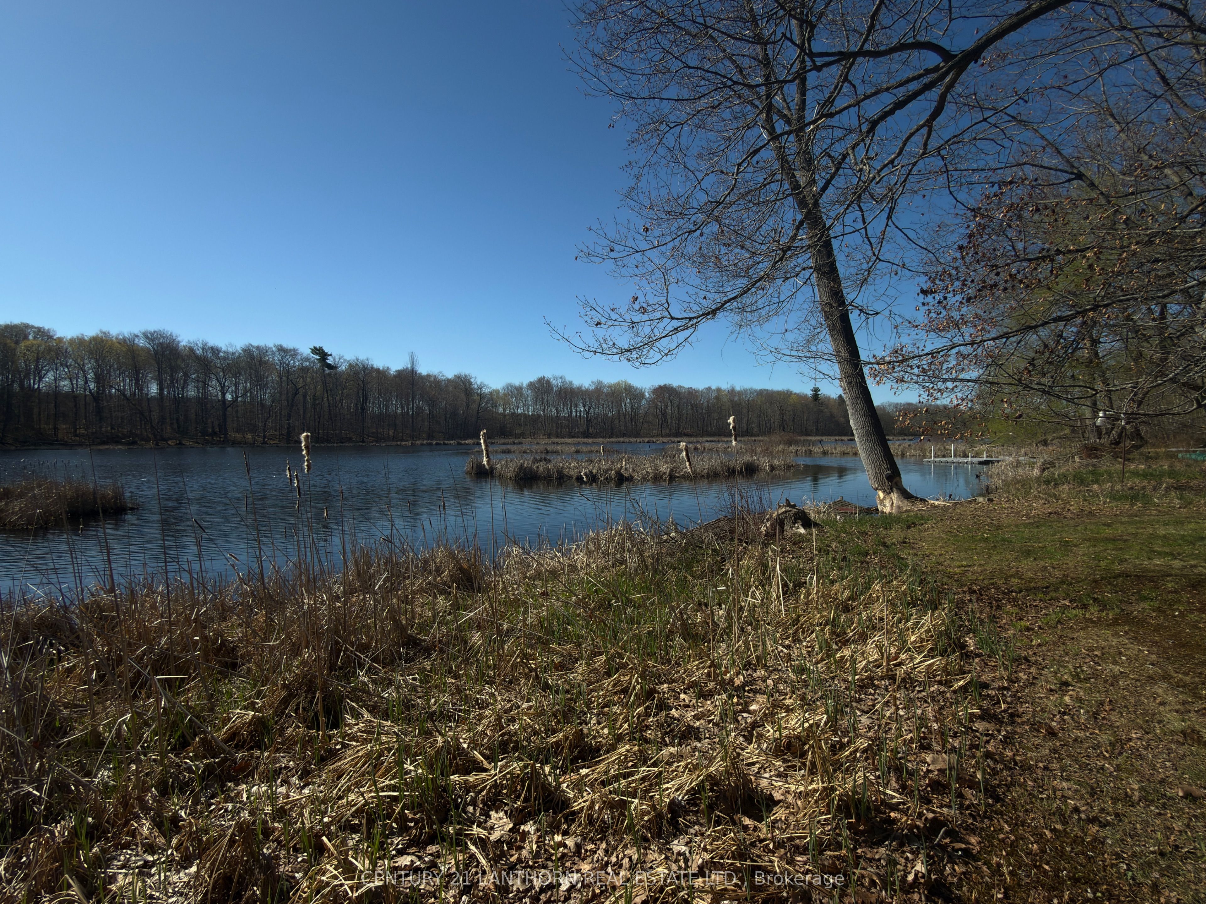 210 C Storms Road Property Photo 13