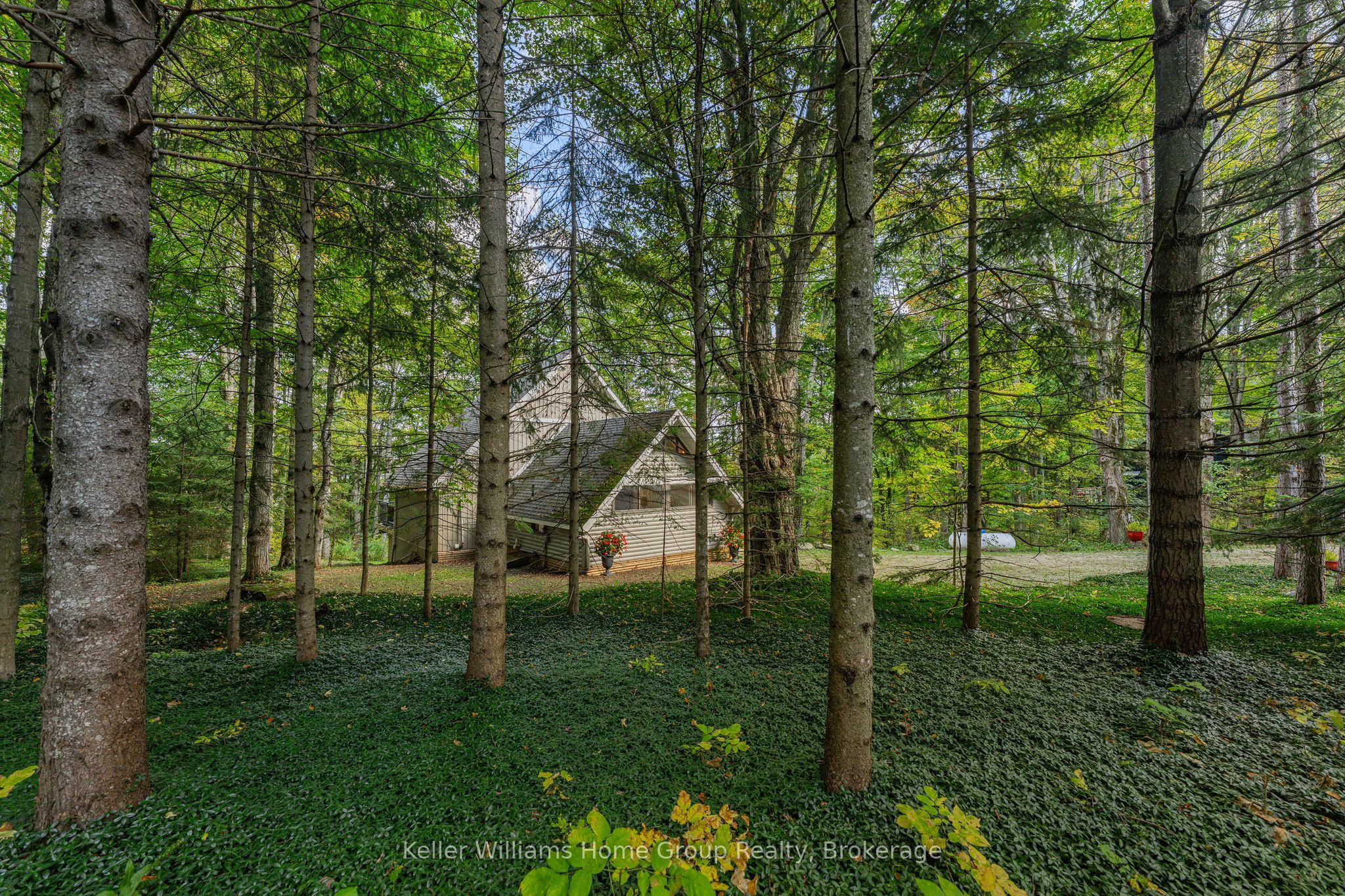 219 Bowles Bluff Road Property Photo 3