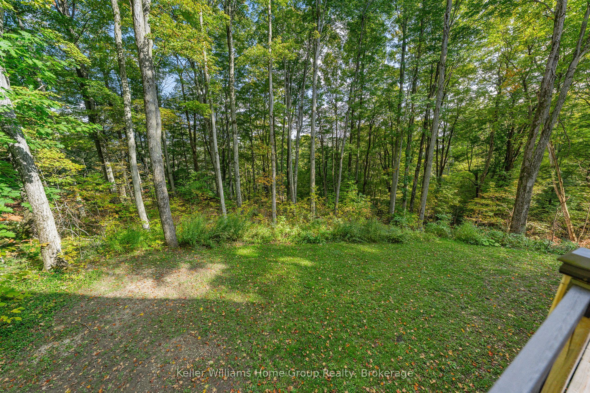 219 Bowles Bluff Road Property Photo 41