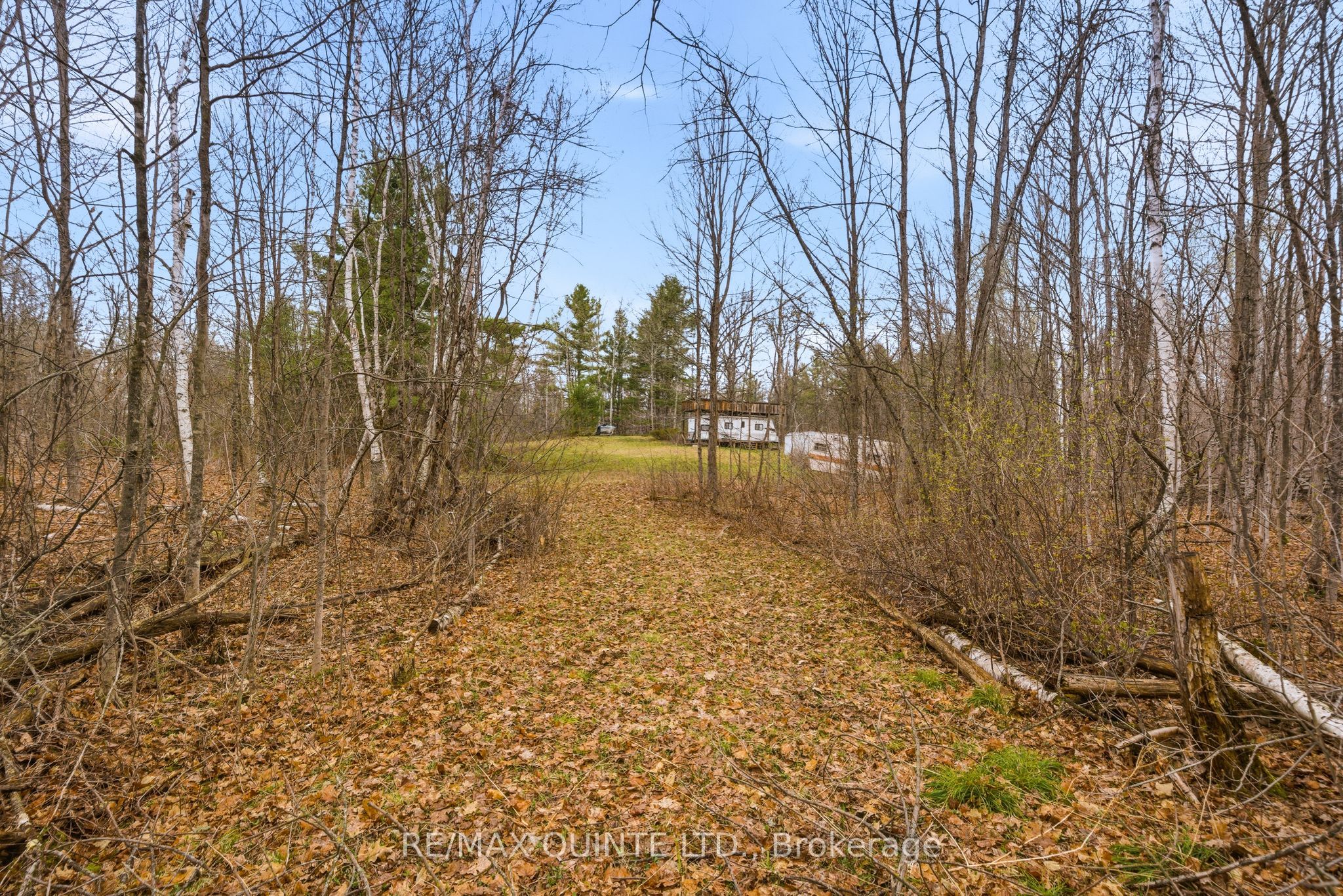 87 Gull Creek Lane Property Photo 14
