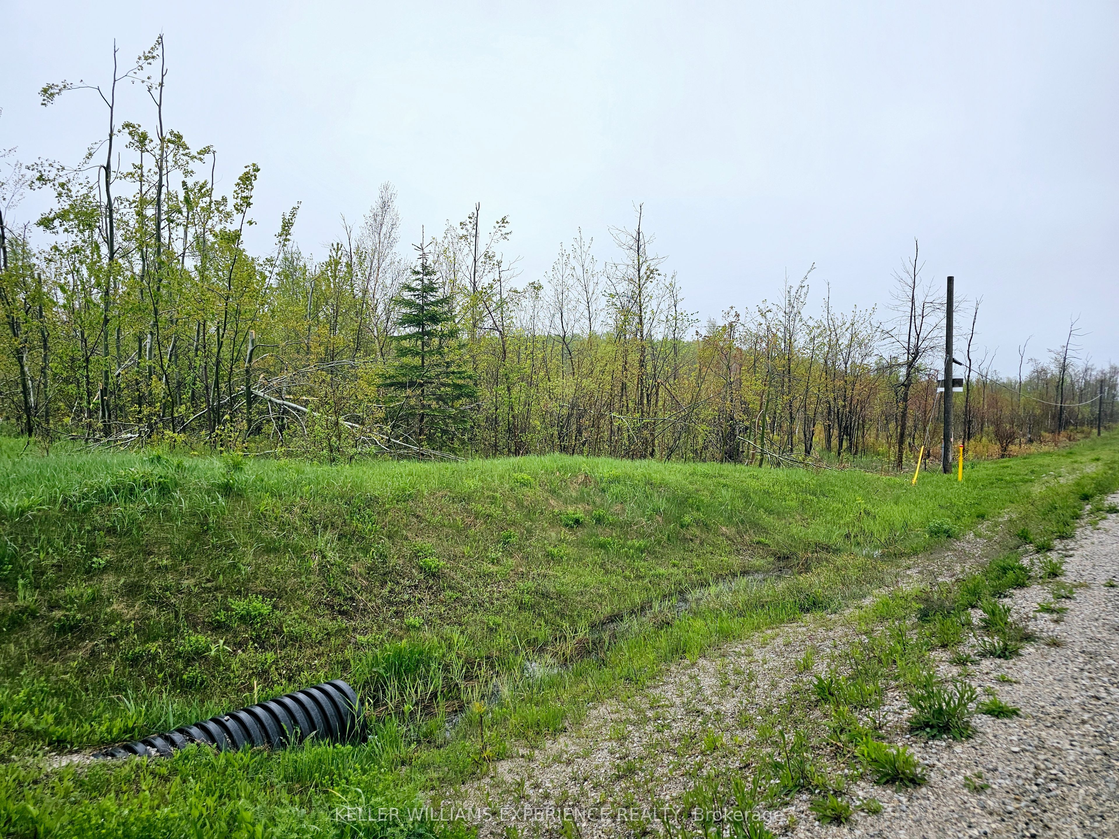 Pt Lt 18 Con 11 Hwy 26 Property Photo 4