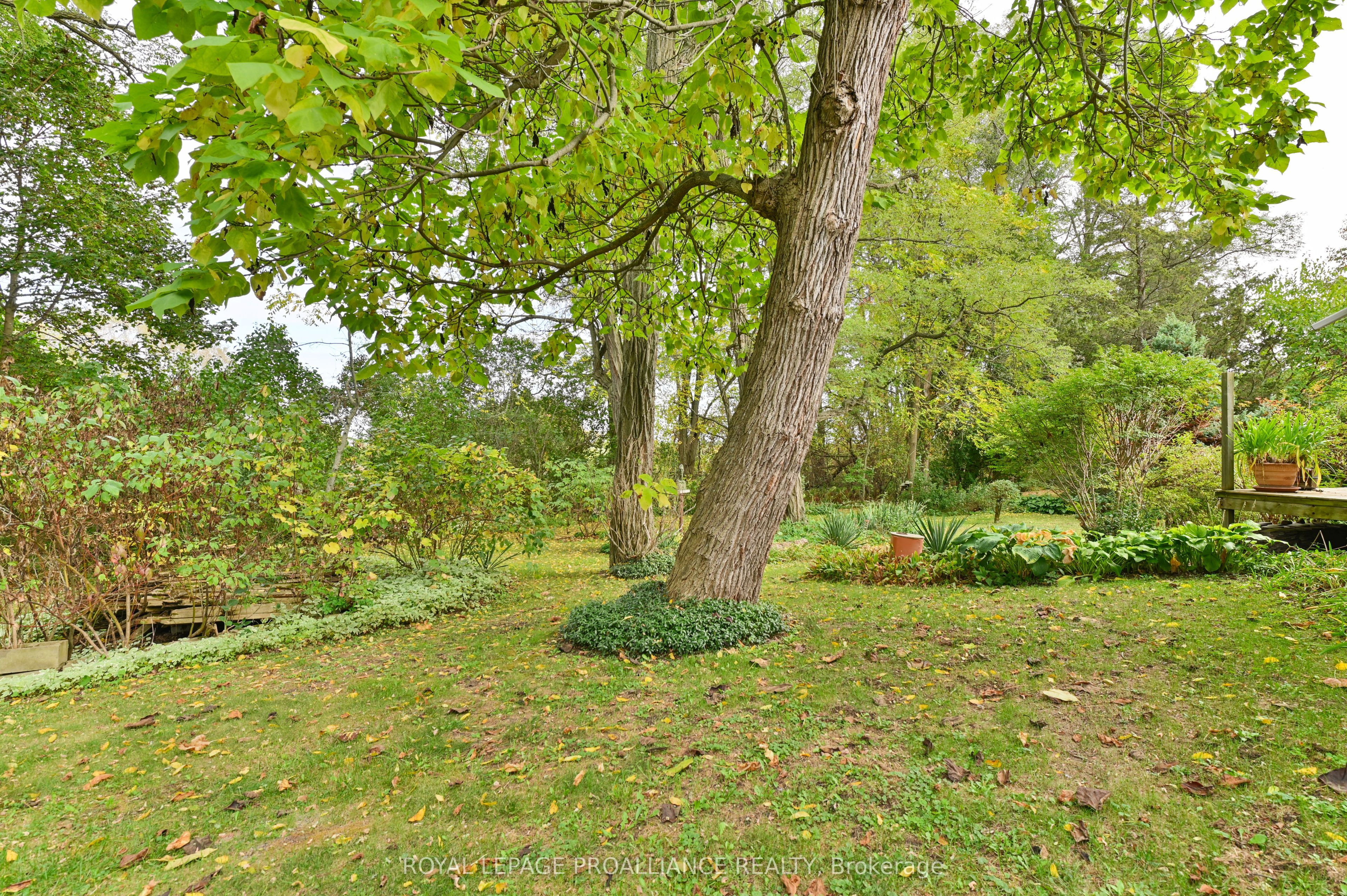 15047 County Road 2 Road Property Photo 40
