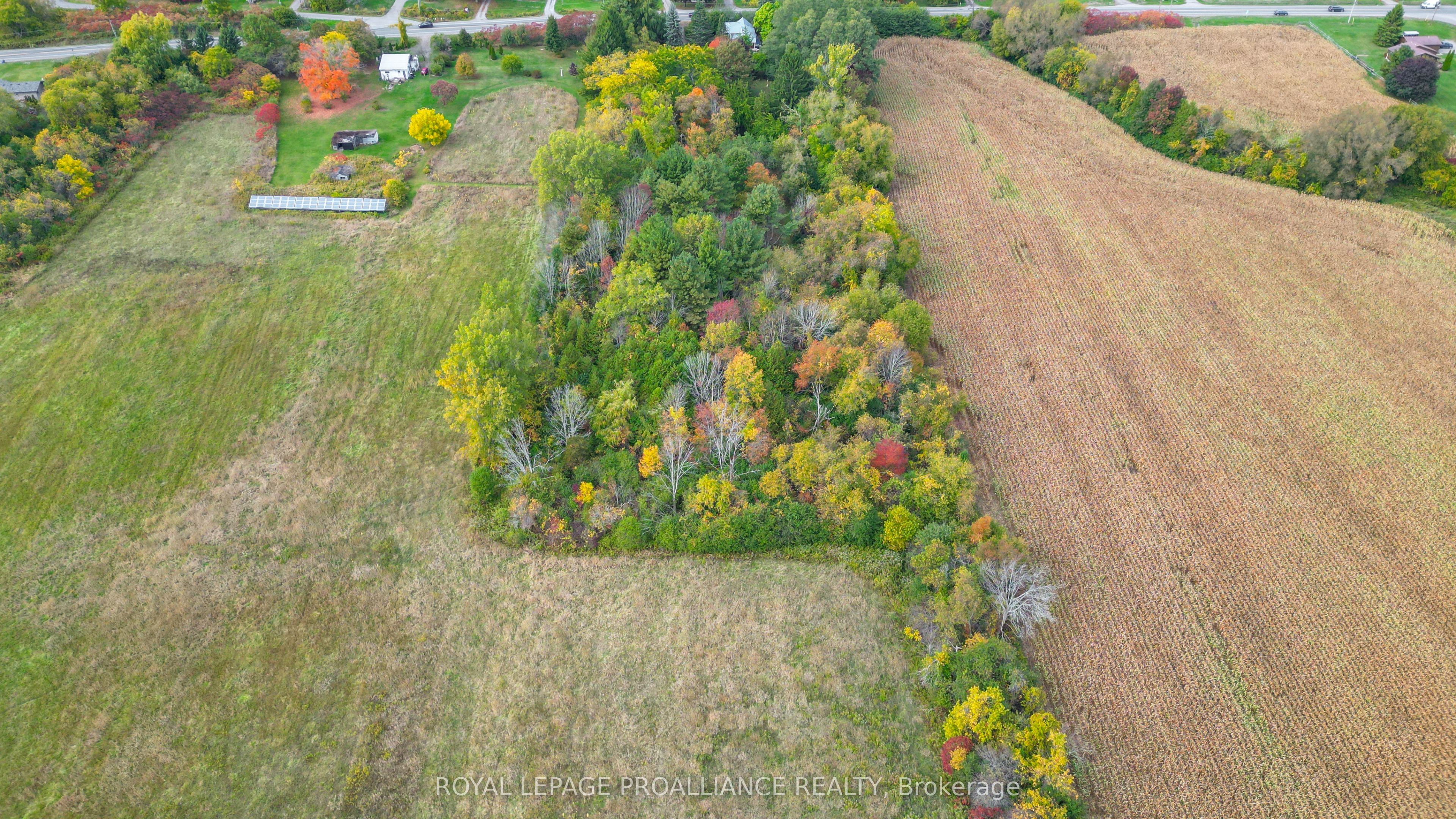 15047 County Road 2 Road Property Photo 49