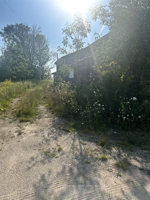 1137 6 Highway Property Photo 6