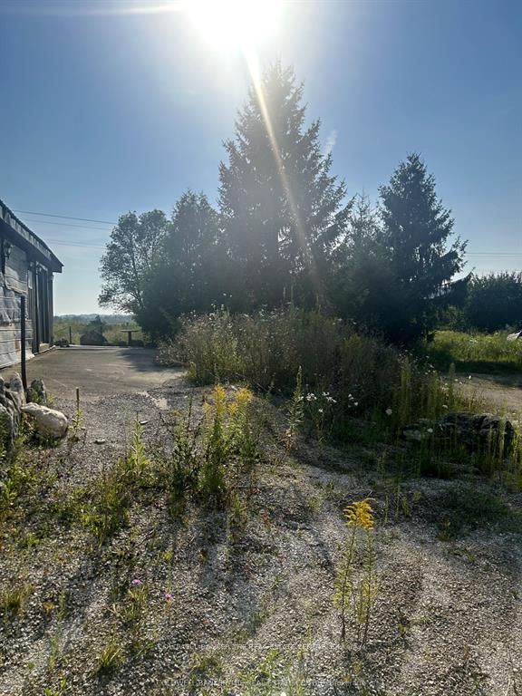 1137 6 Highway Property Photo 10