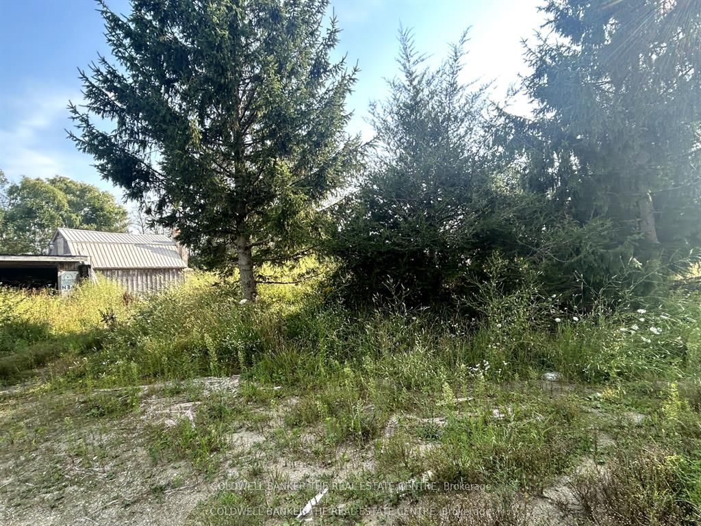 1137 6 Highway Property Photo 31