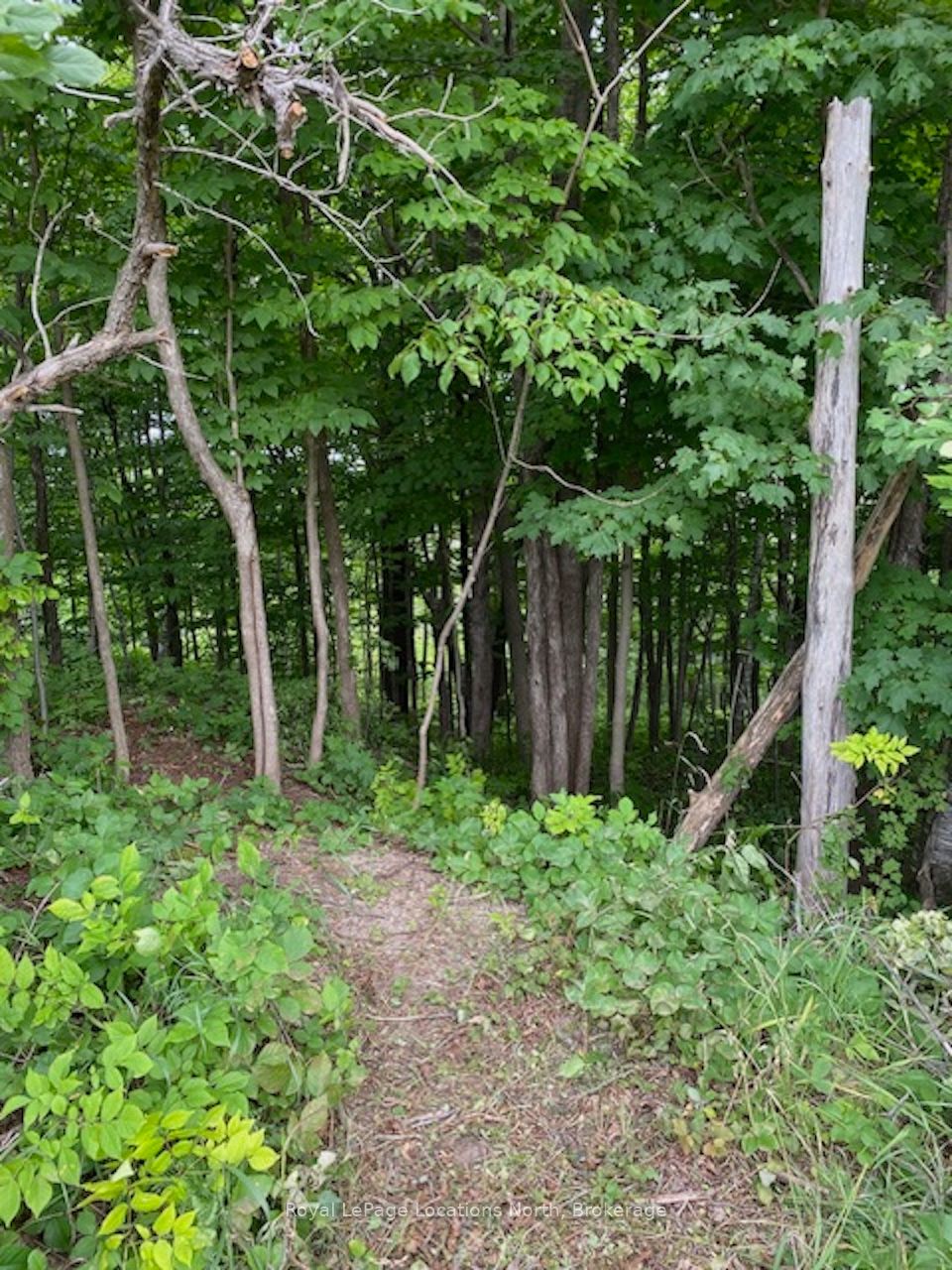 Ptlt 40 12 Concession Property Photo 5