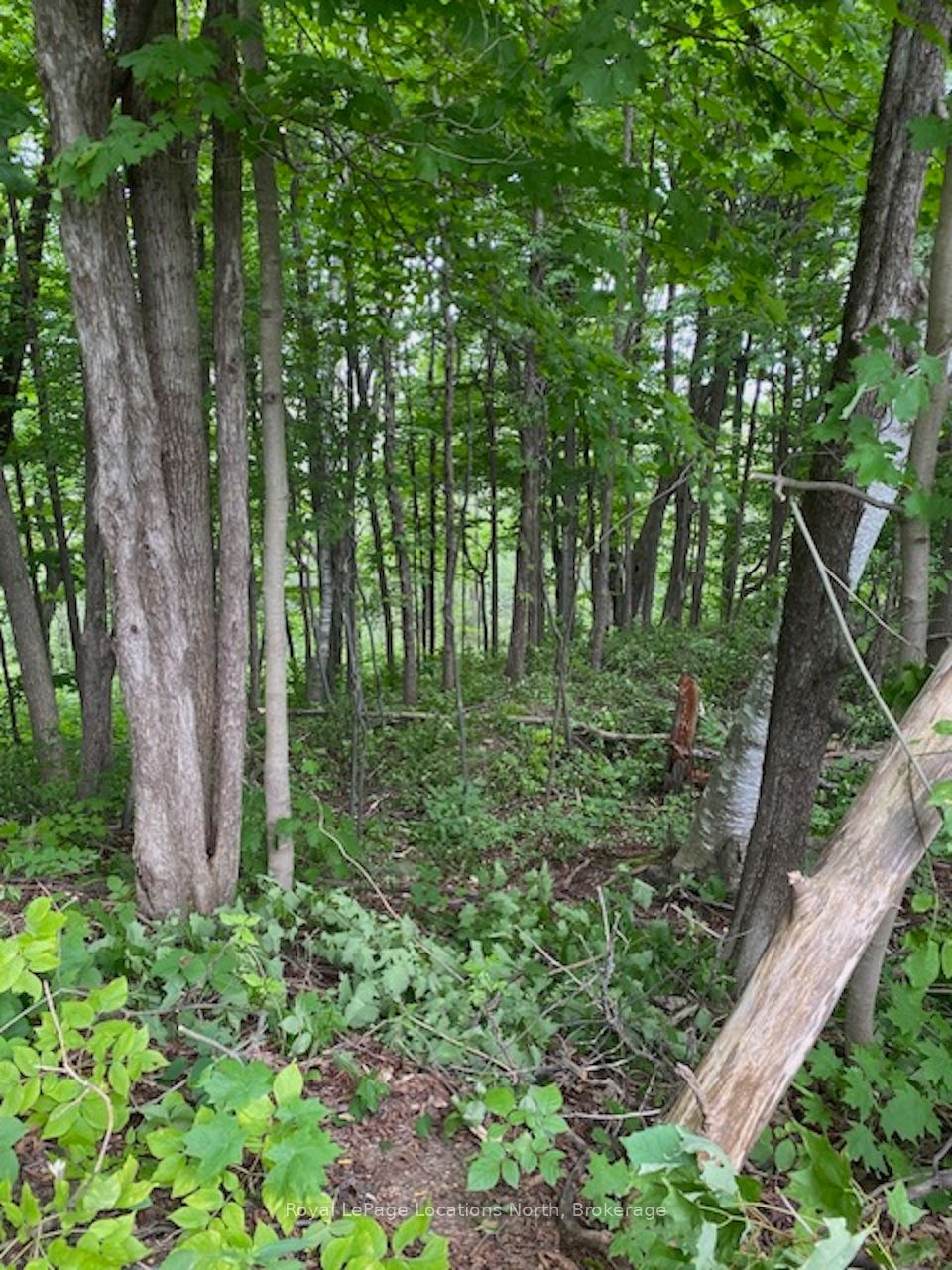 Ptlt 40 12 Concession Property Photo 6