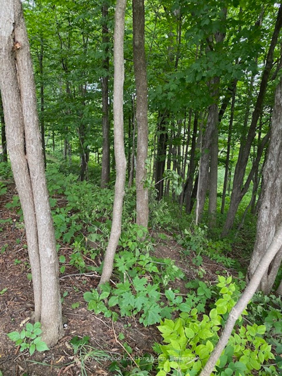 Ptlt 40 12 Concession Property Photo 7