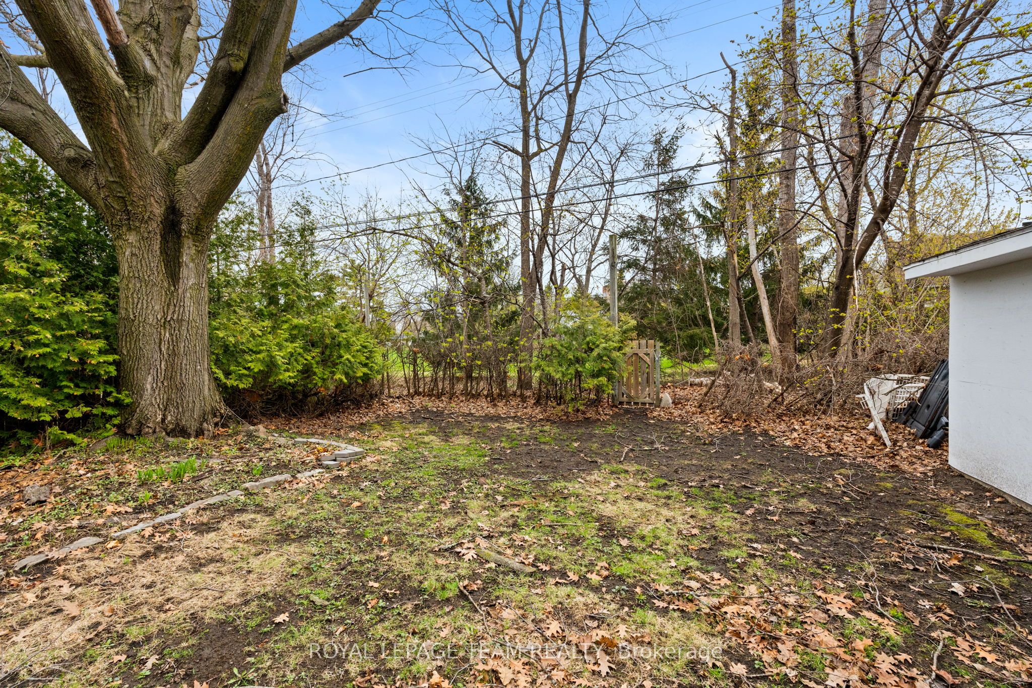 873 Smyth Road Property Photo 39