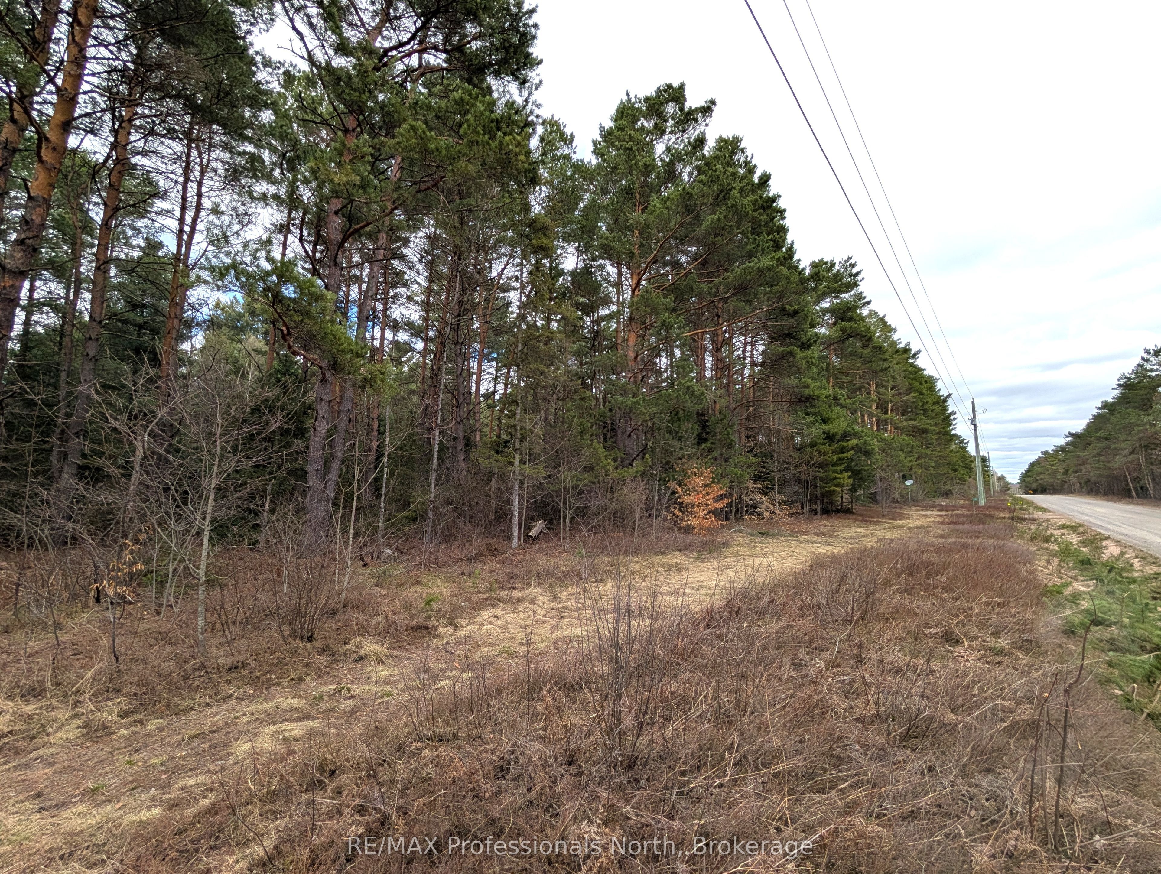 0 Peacock Road Property Photo 9