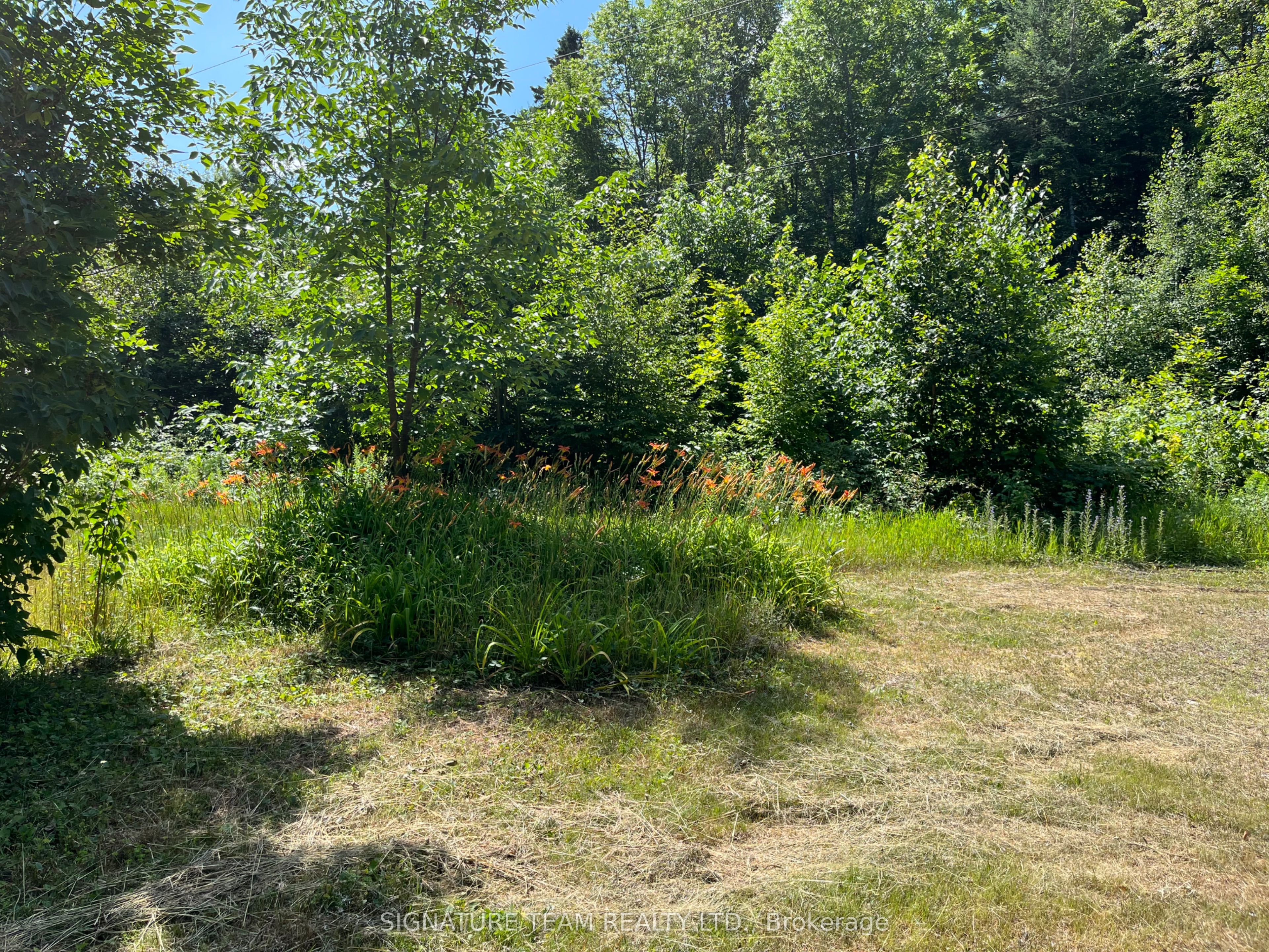 19626 41 Highway Property Photo 28