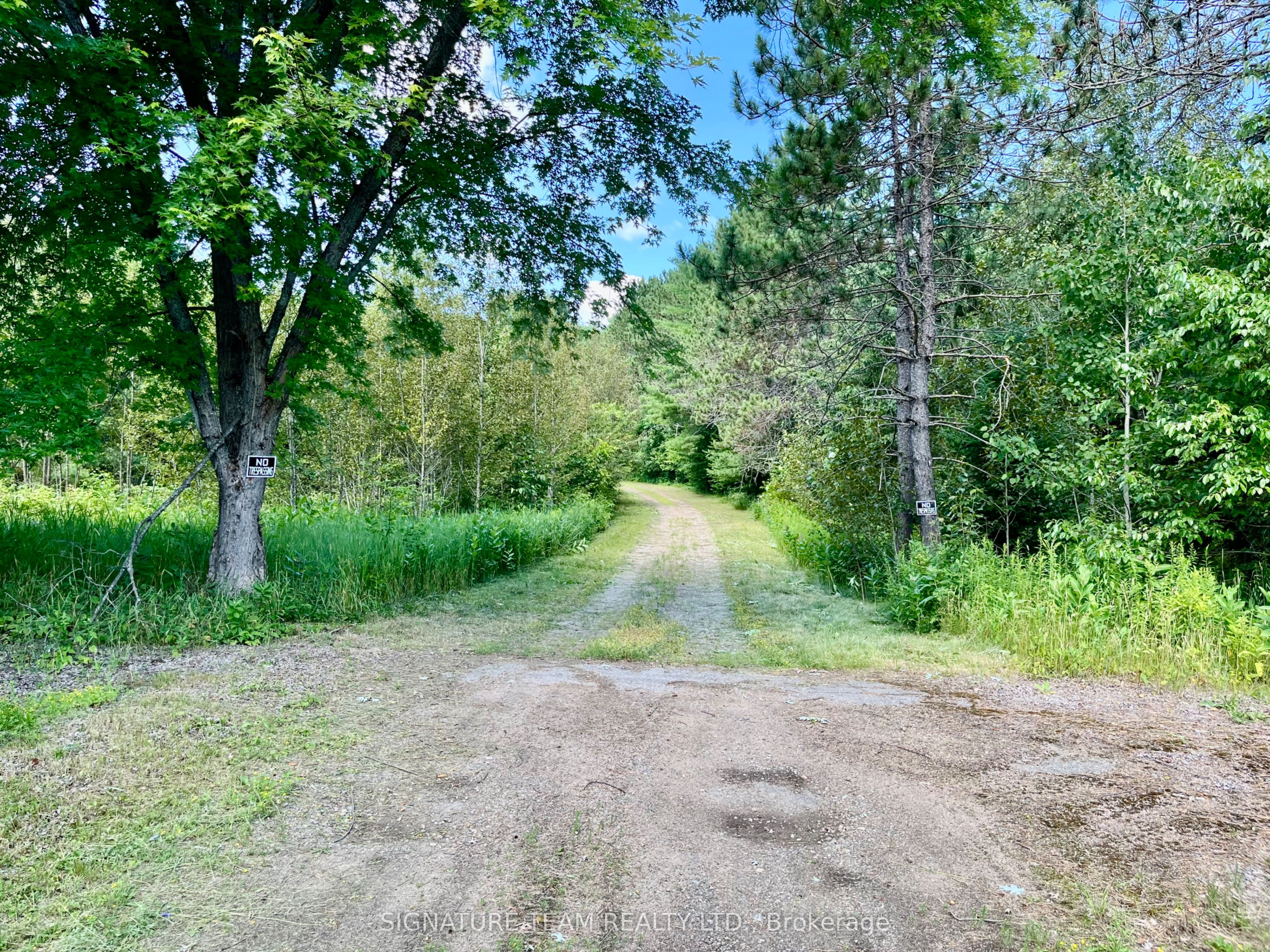 19626 41 Highway Property Photo 31