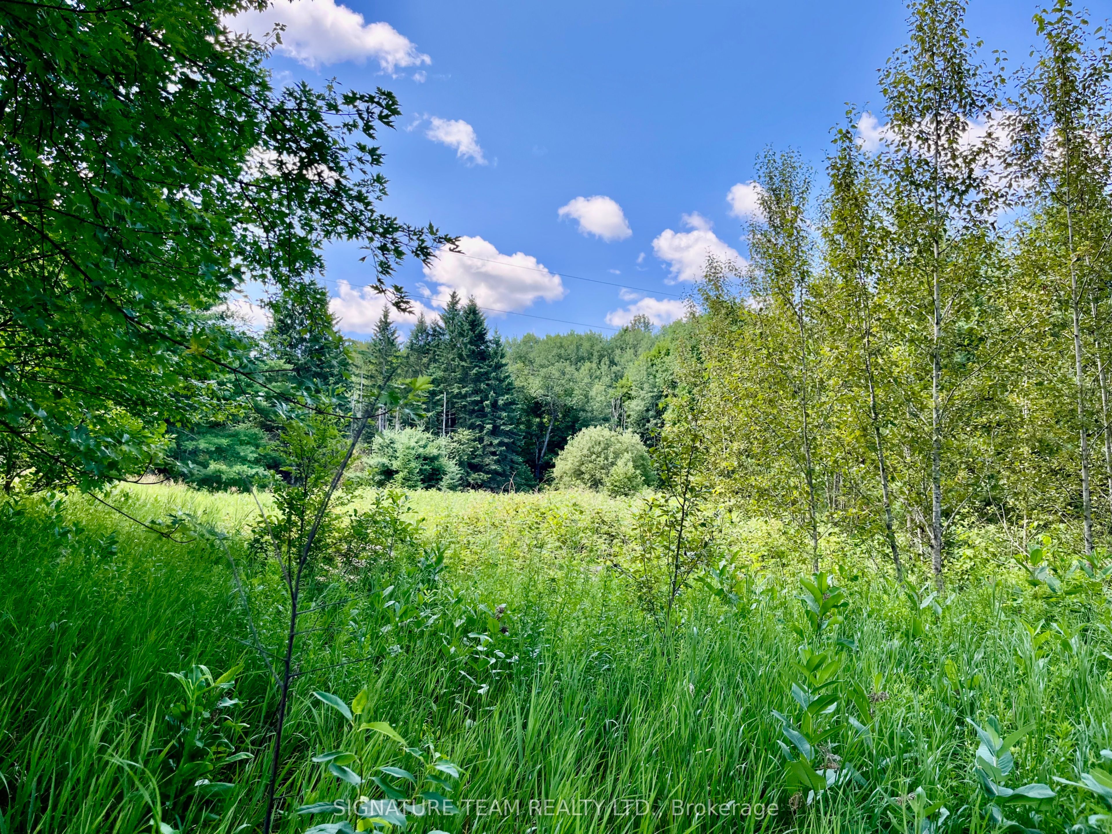 19626 41 Highway Property Photo 32
