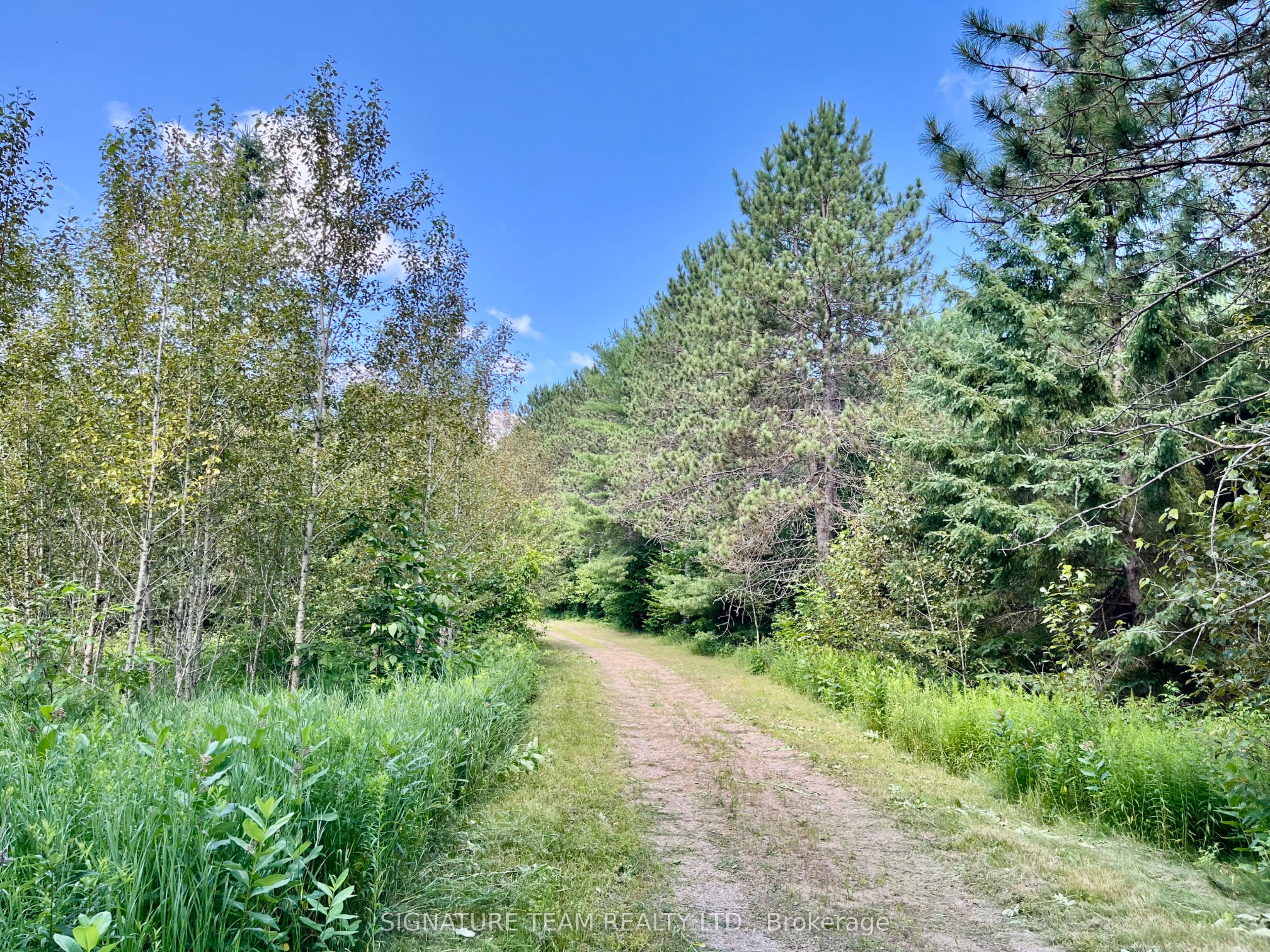 19626 41 Highway Property Photo 33