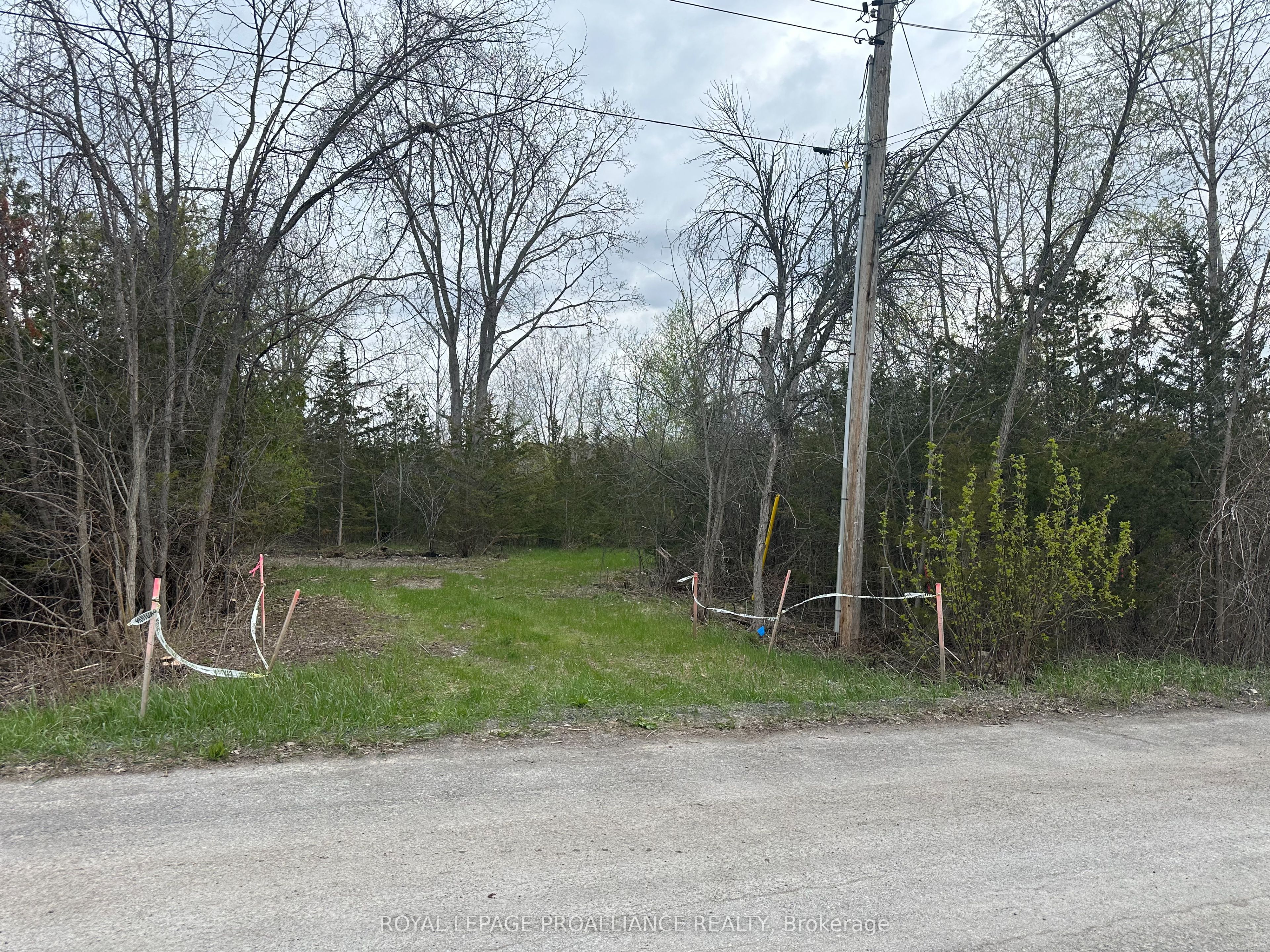 147 Peterson Street Property Photo 1