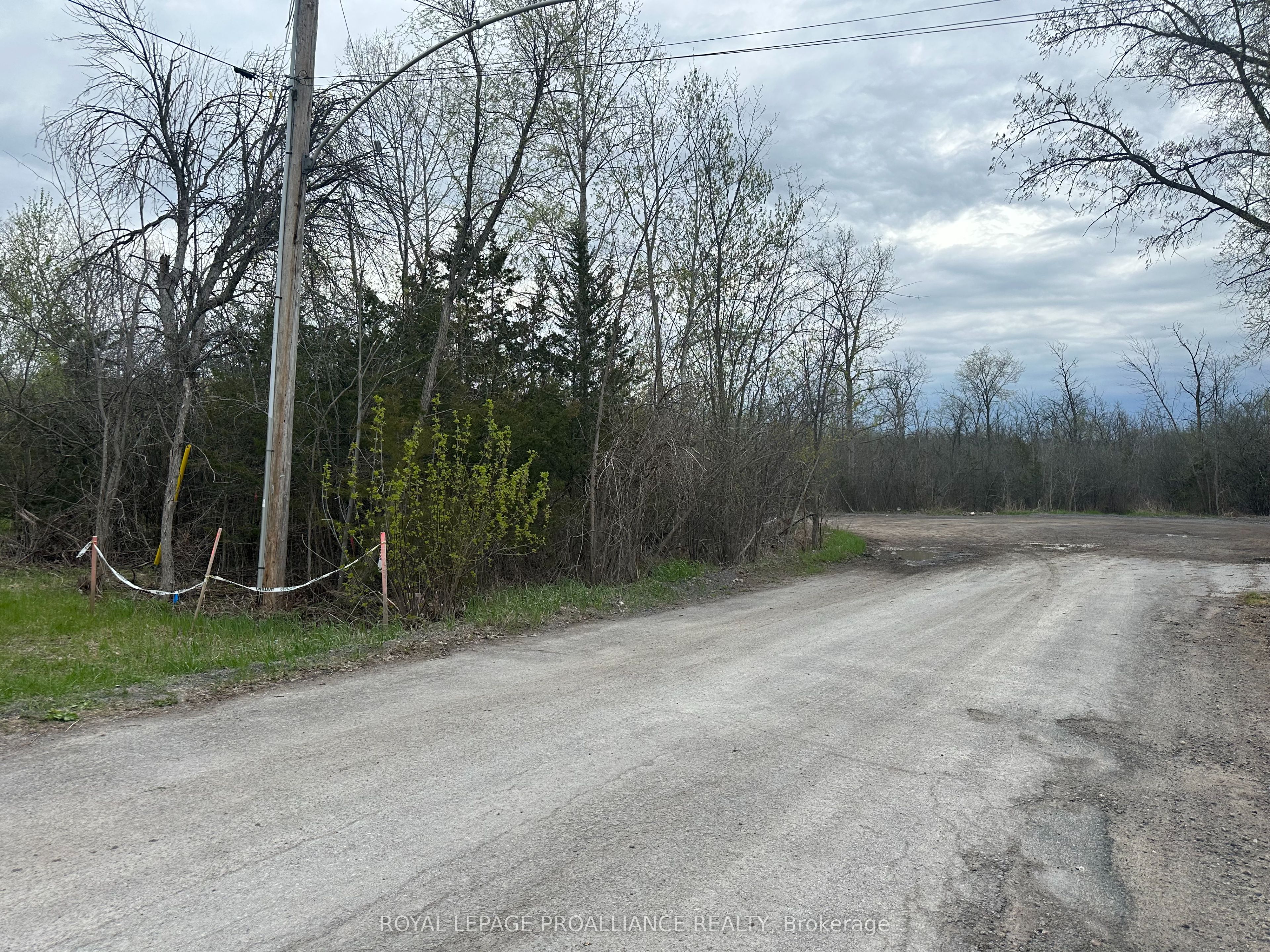 147 Peterson Street Property Photo 3